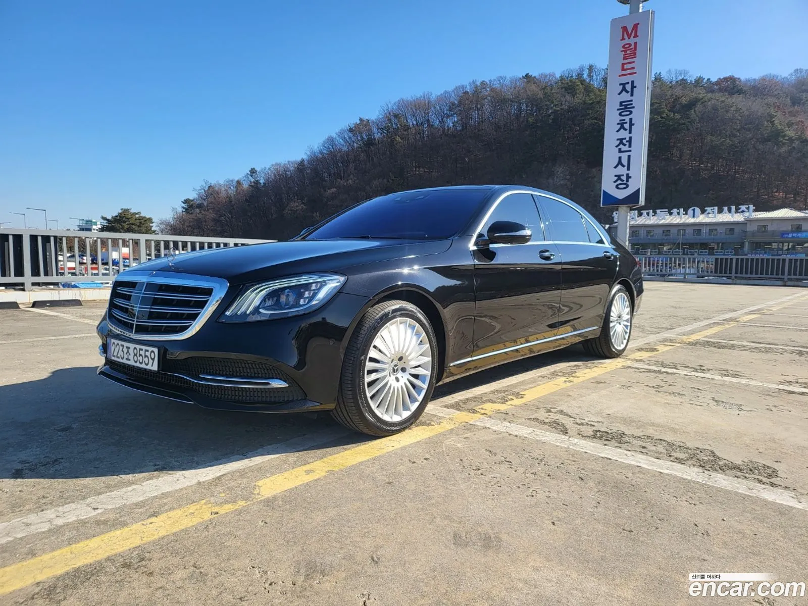 S-Class W222 S350L - фотография 3887215