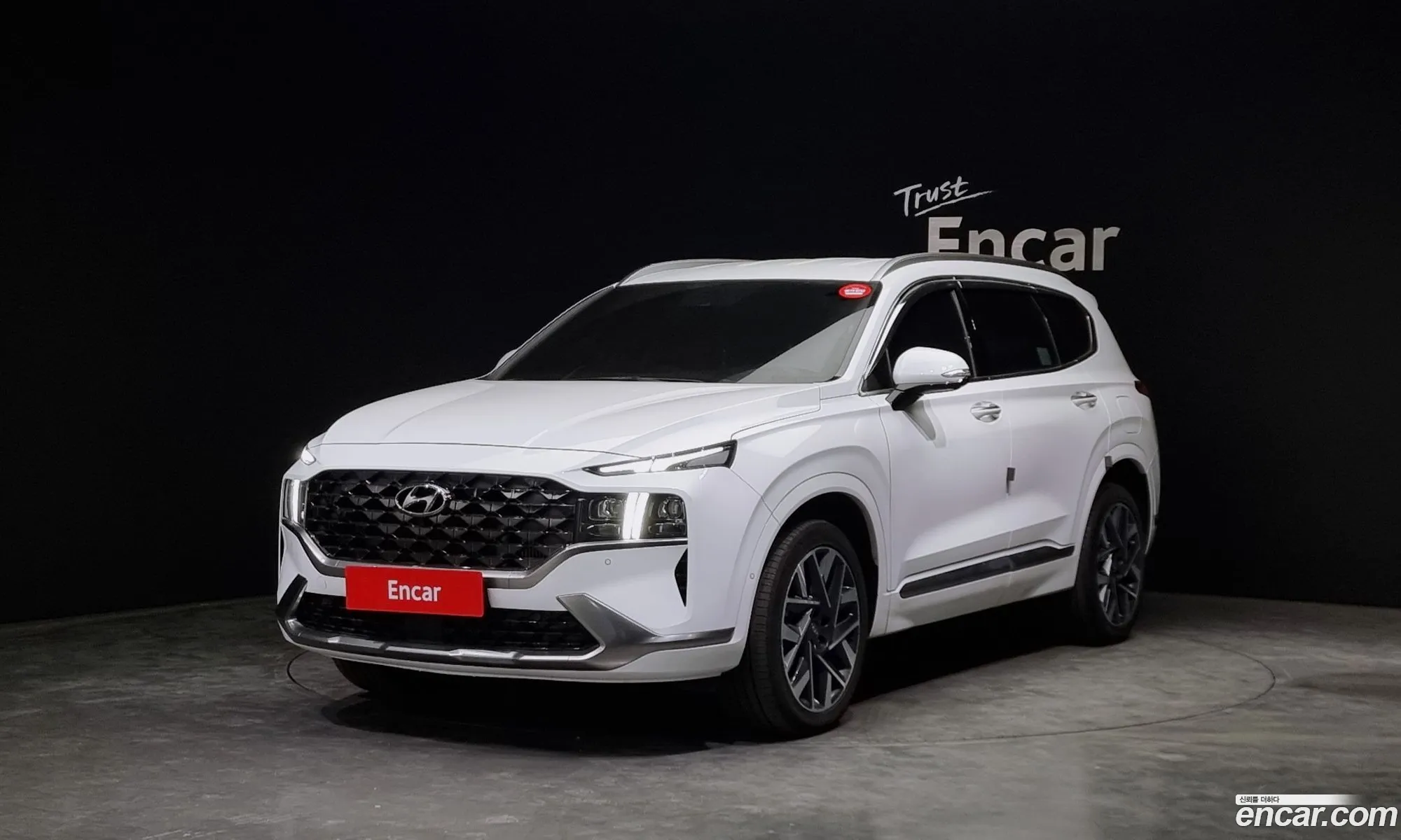 The New Santa Fe Gasoline 25T 4Wd Calligraphy - фотография 12947048