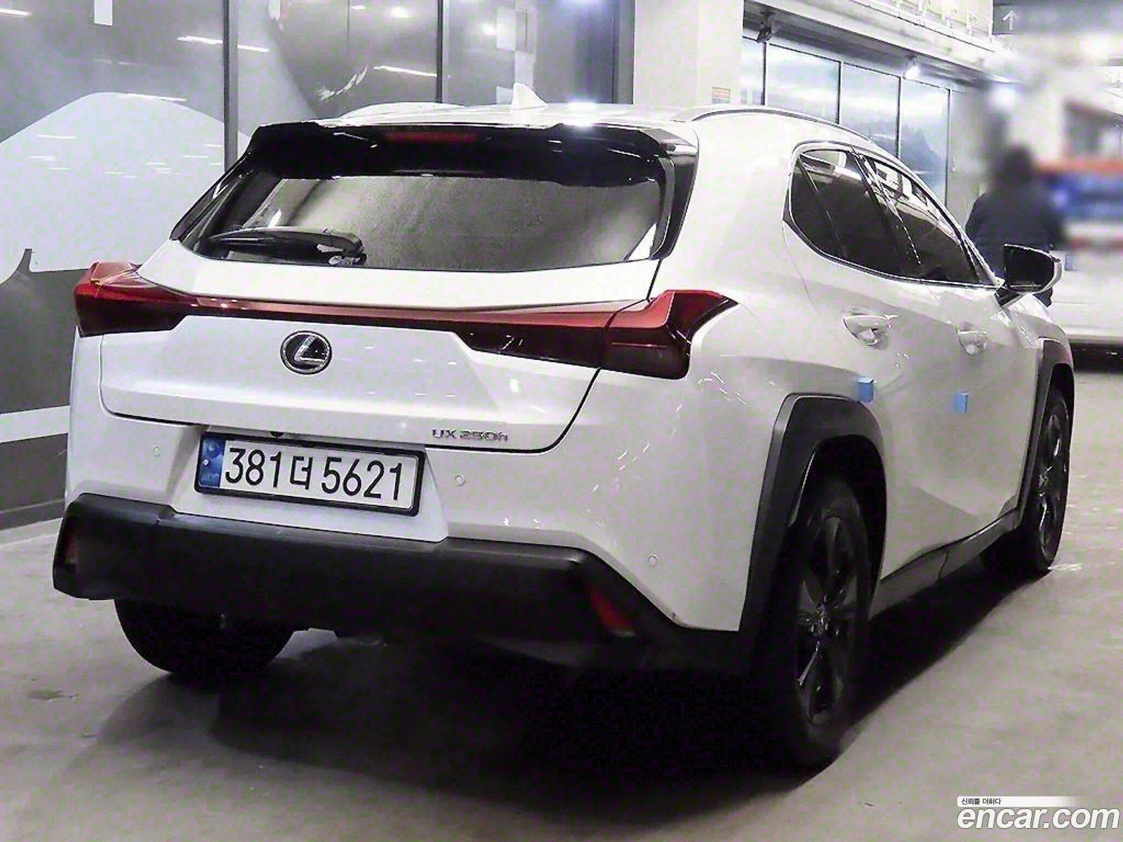 Korex Auto Trade - фотография 4704426