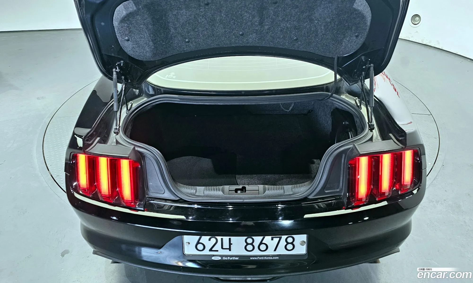 Mustang Coupe - фотография 3485280