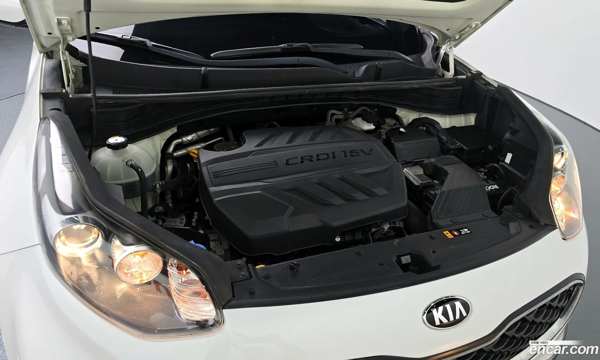 Korex Auto Trade - фотография 18411800