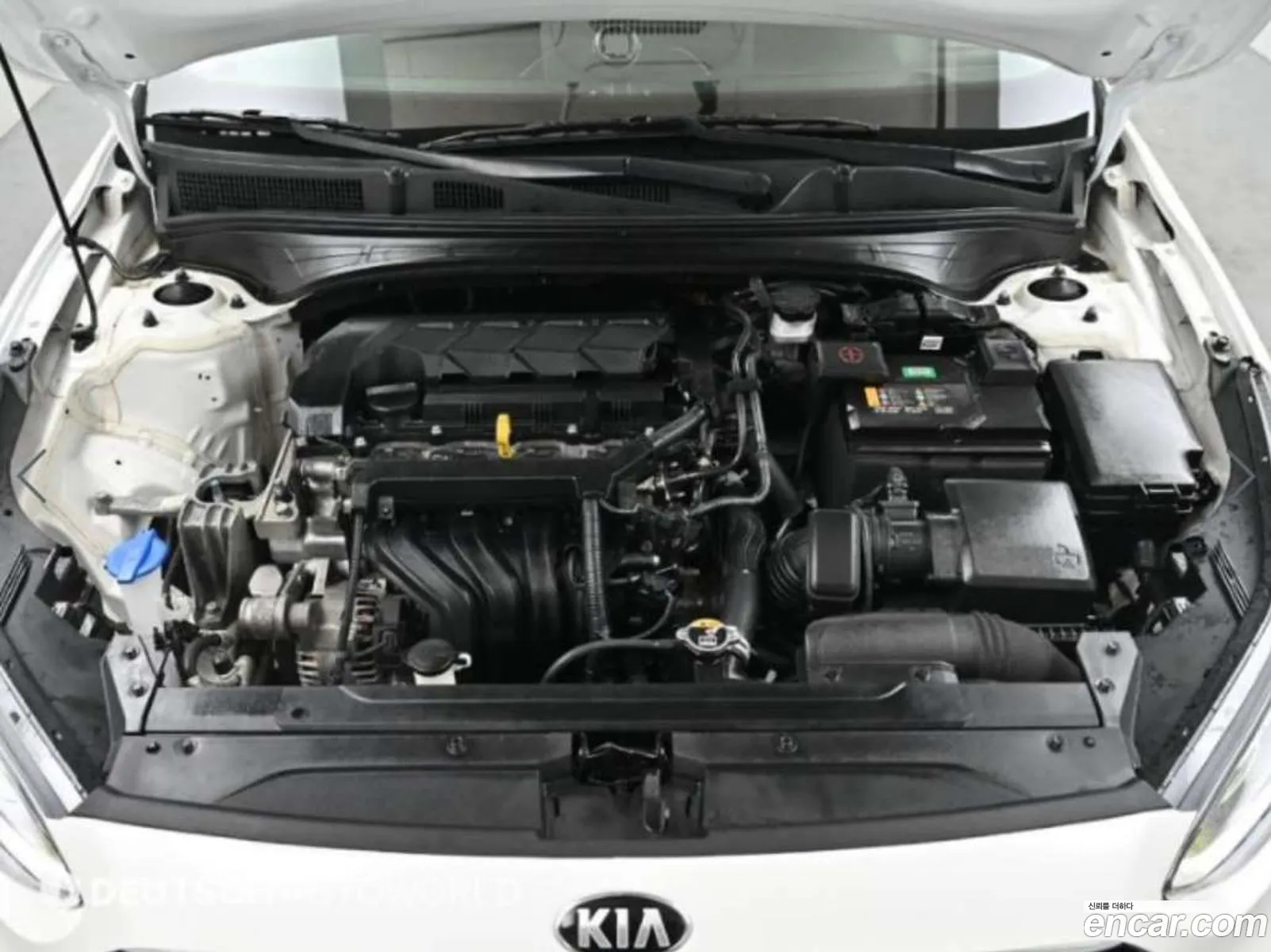 Korex Auto Trade - фотография 17941643