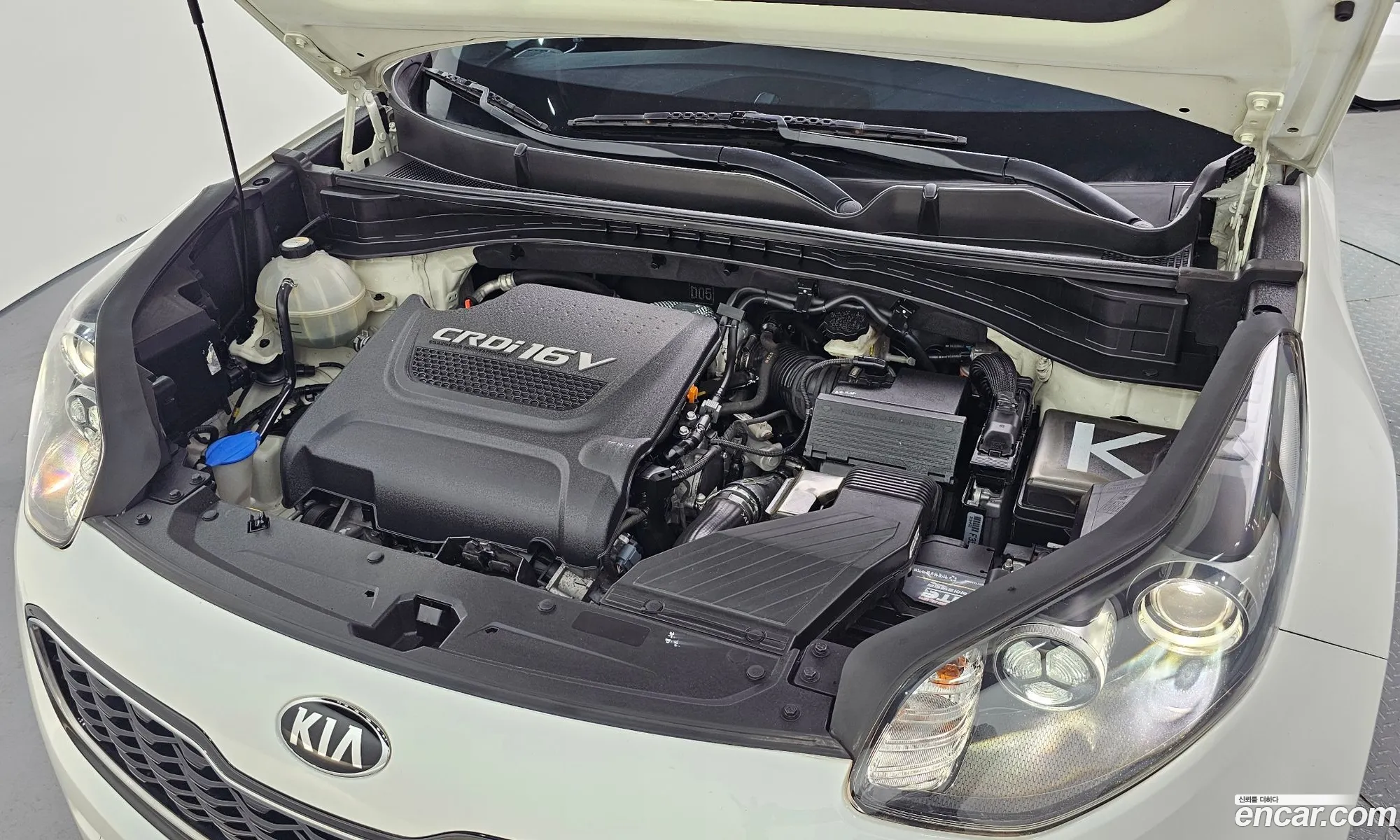 Korex Auto Trade - фотография 18385095