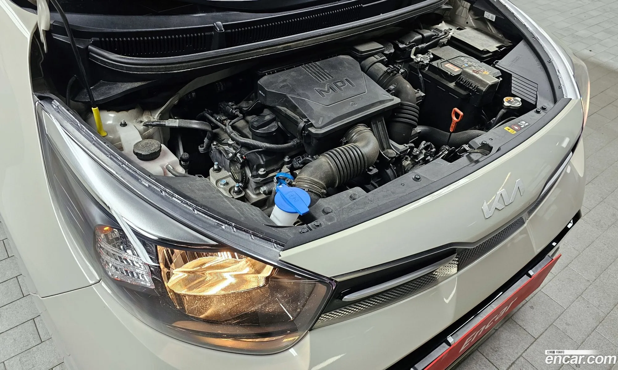 Korex Auto Trade - фотография 17704592