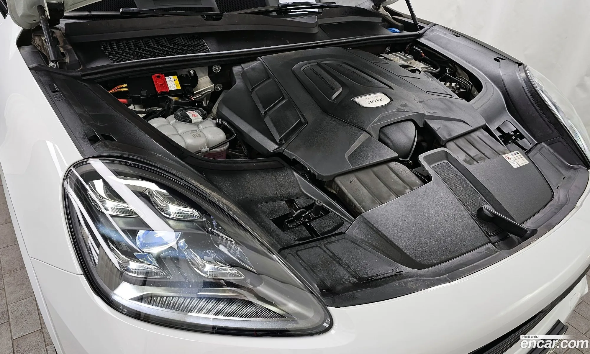 Korex Auto Trade - фотография 5062598