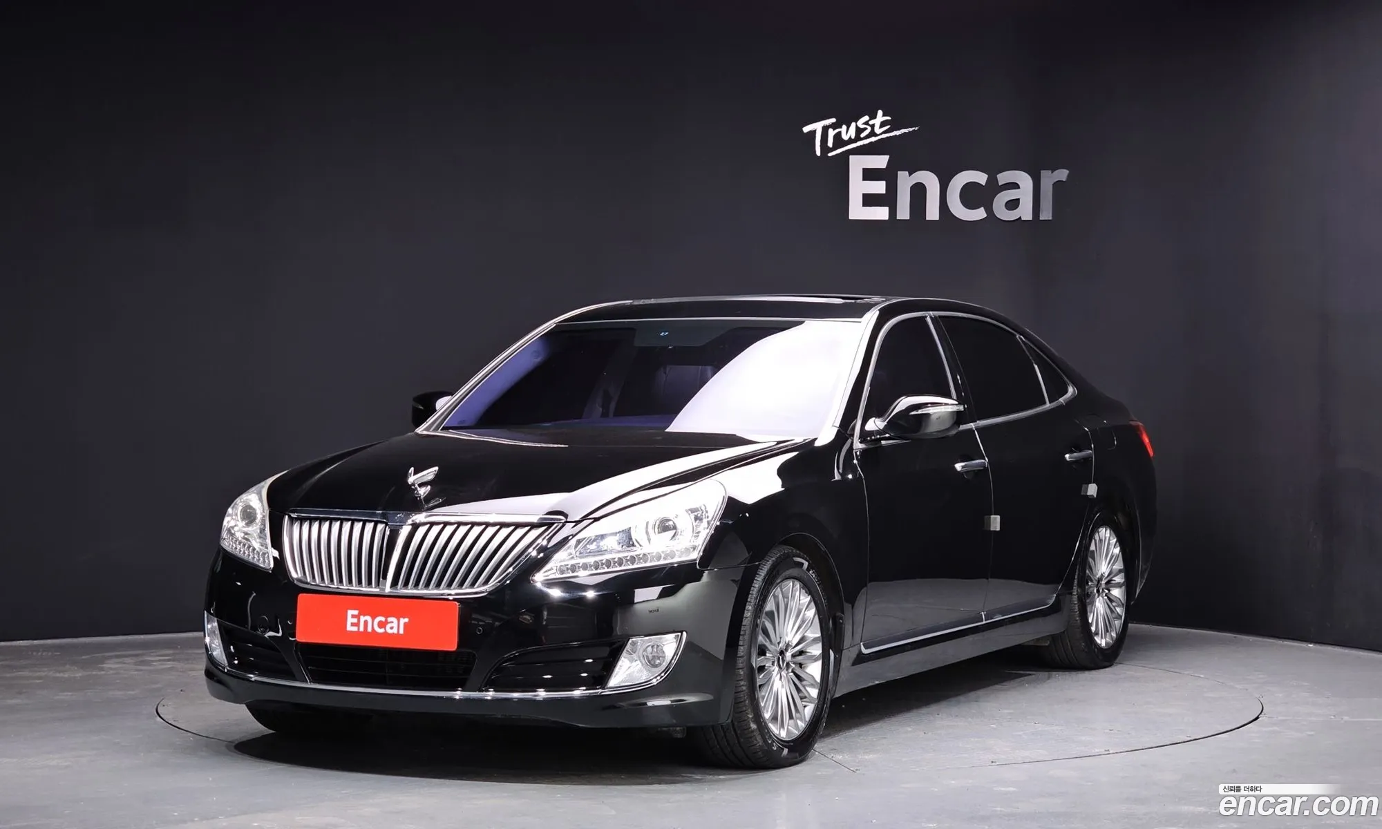 Equus New Vs380 Modern - фотография 20334903
