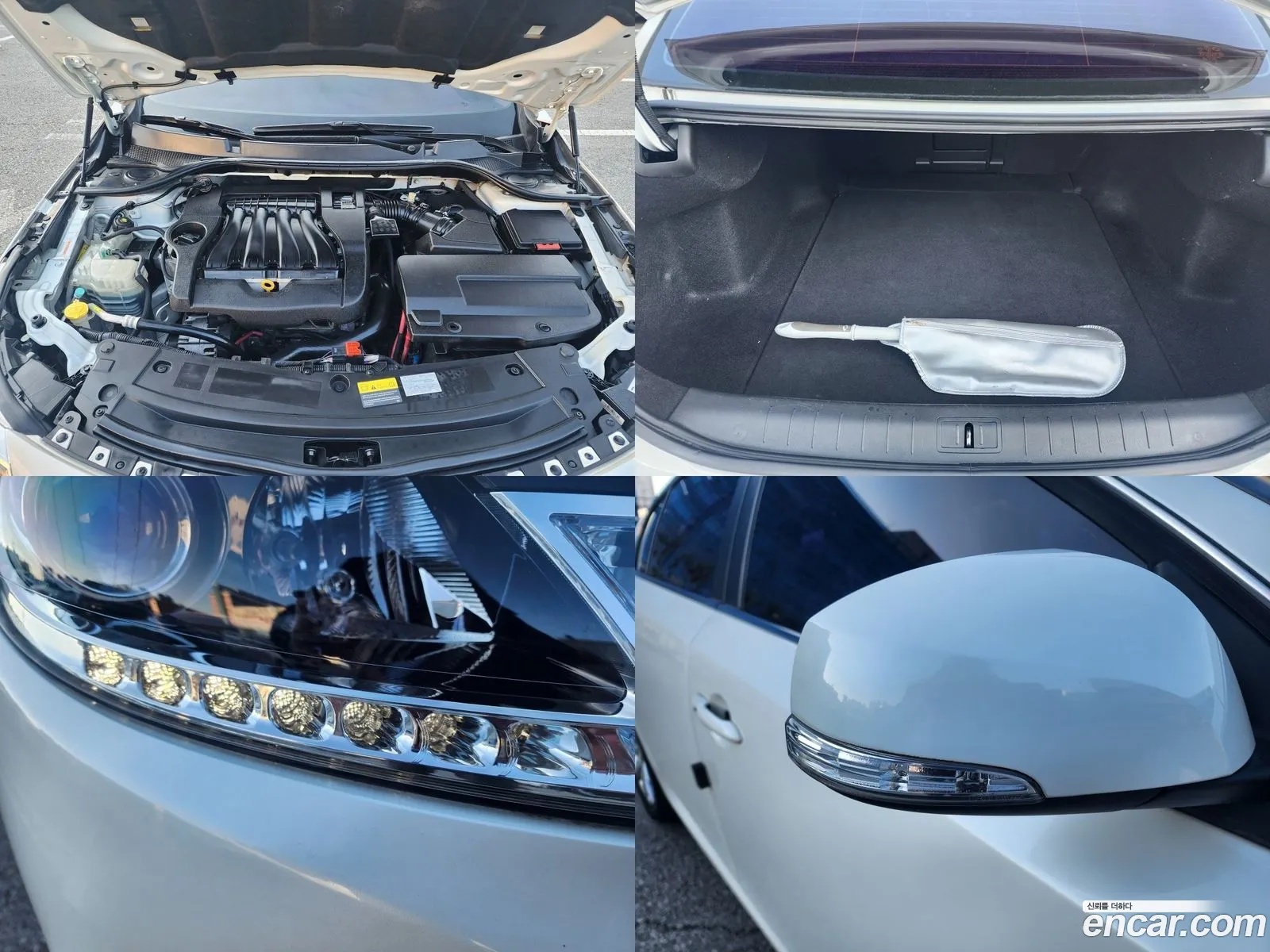 Korex Auto Trade - фотография 14517341