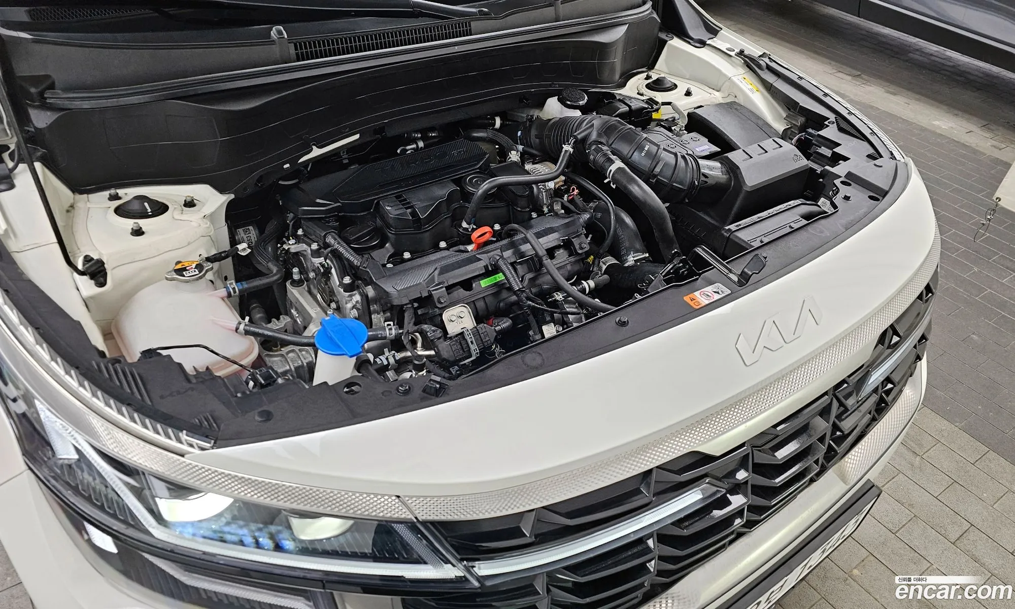 Korex Auto Trade - фотография 17700947