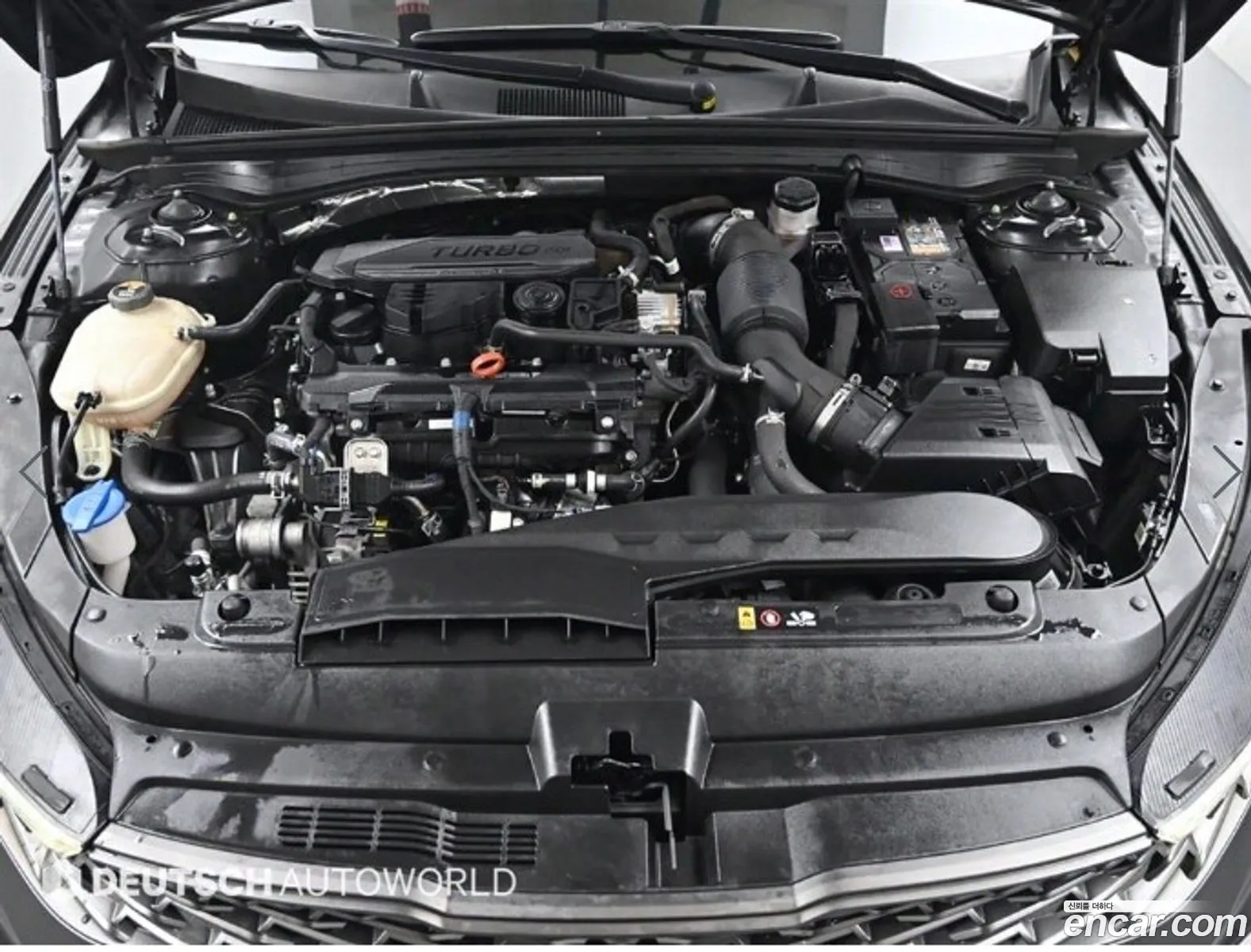 Korex Auto Trade - фотография 17724662