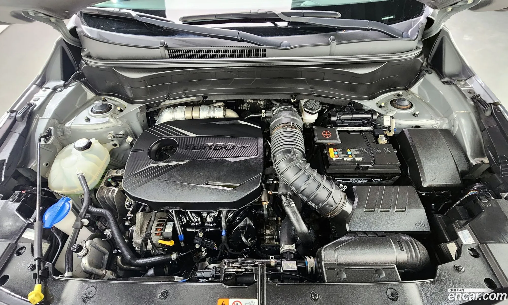 Korex Auto Trade - фотография 17691304