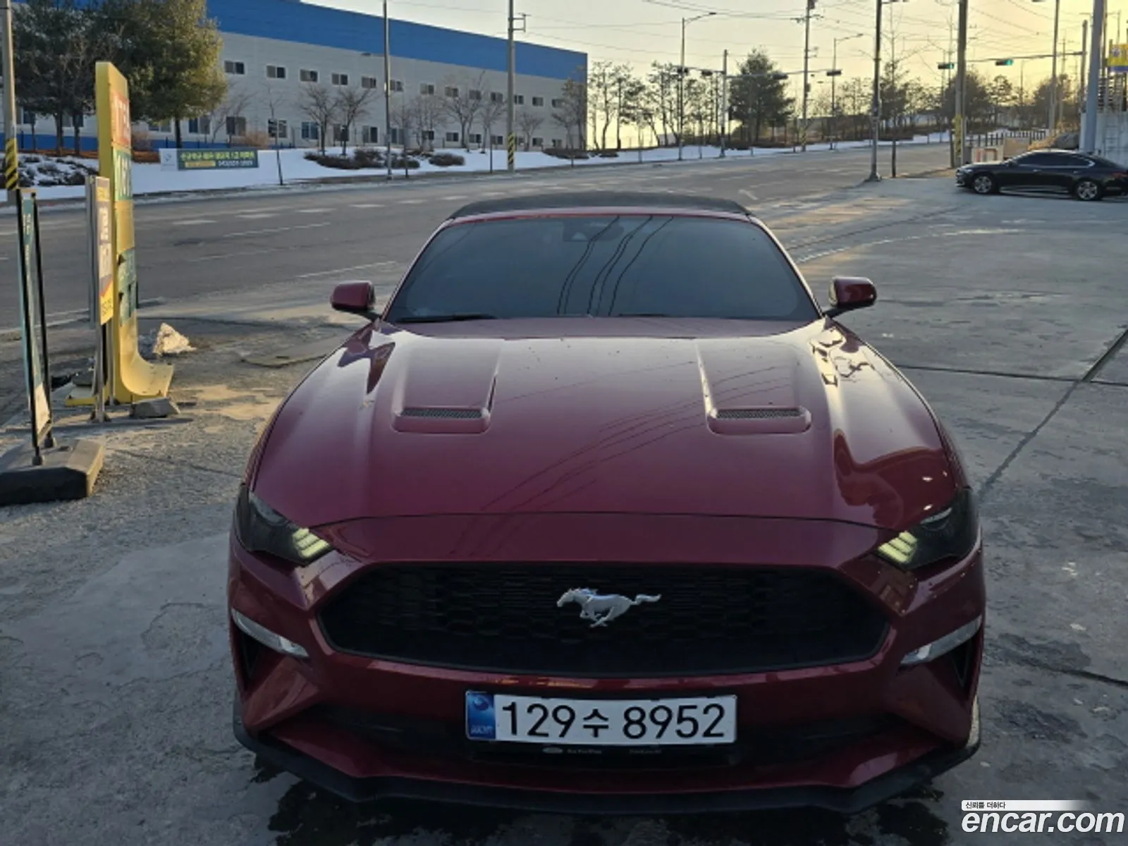 Mustang Converter - фотография 1070620