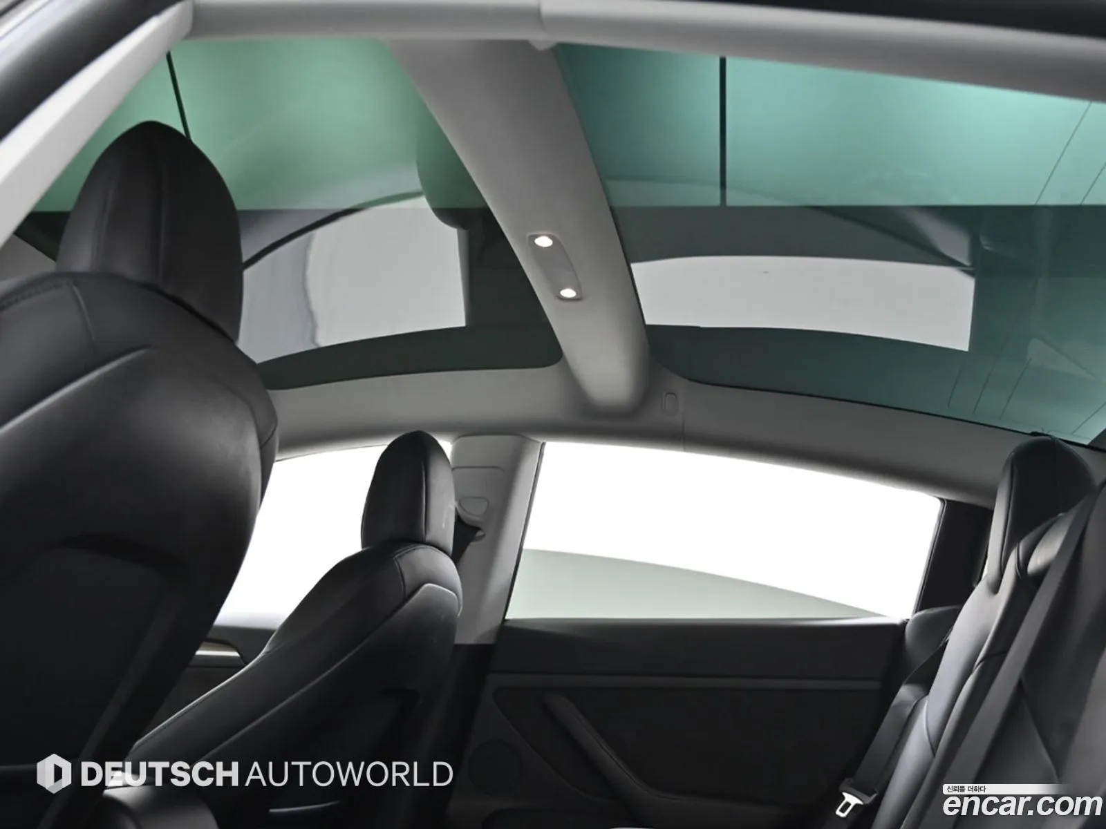 Tesla Model 3 Long Range 2021 - фотография 4627105