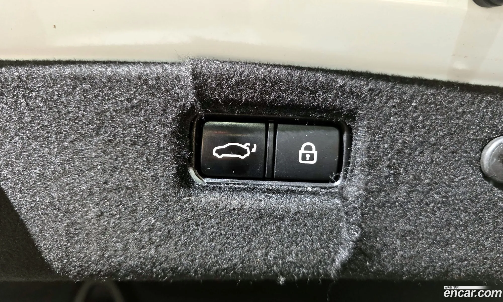 G70 22D Elite - фотография 12690990