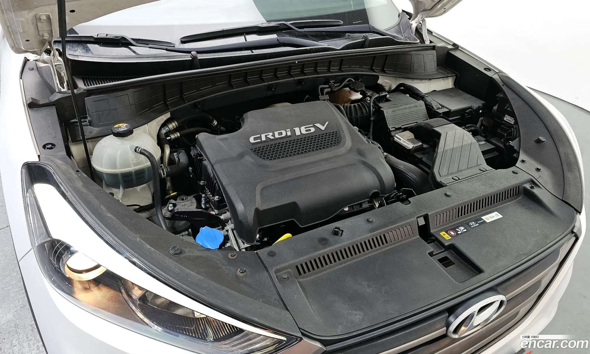 Korex Auto Trade - фотография 13979375