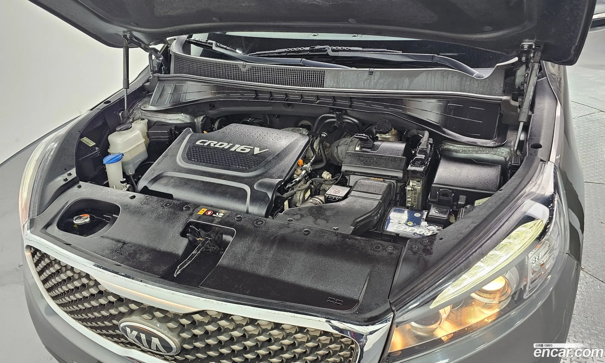 Korex Auto Trade - фотография 13128377