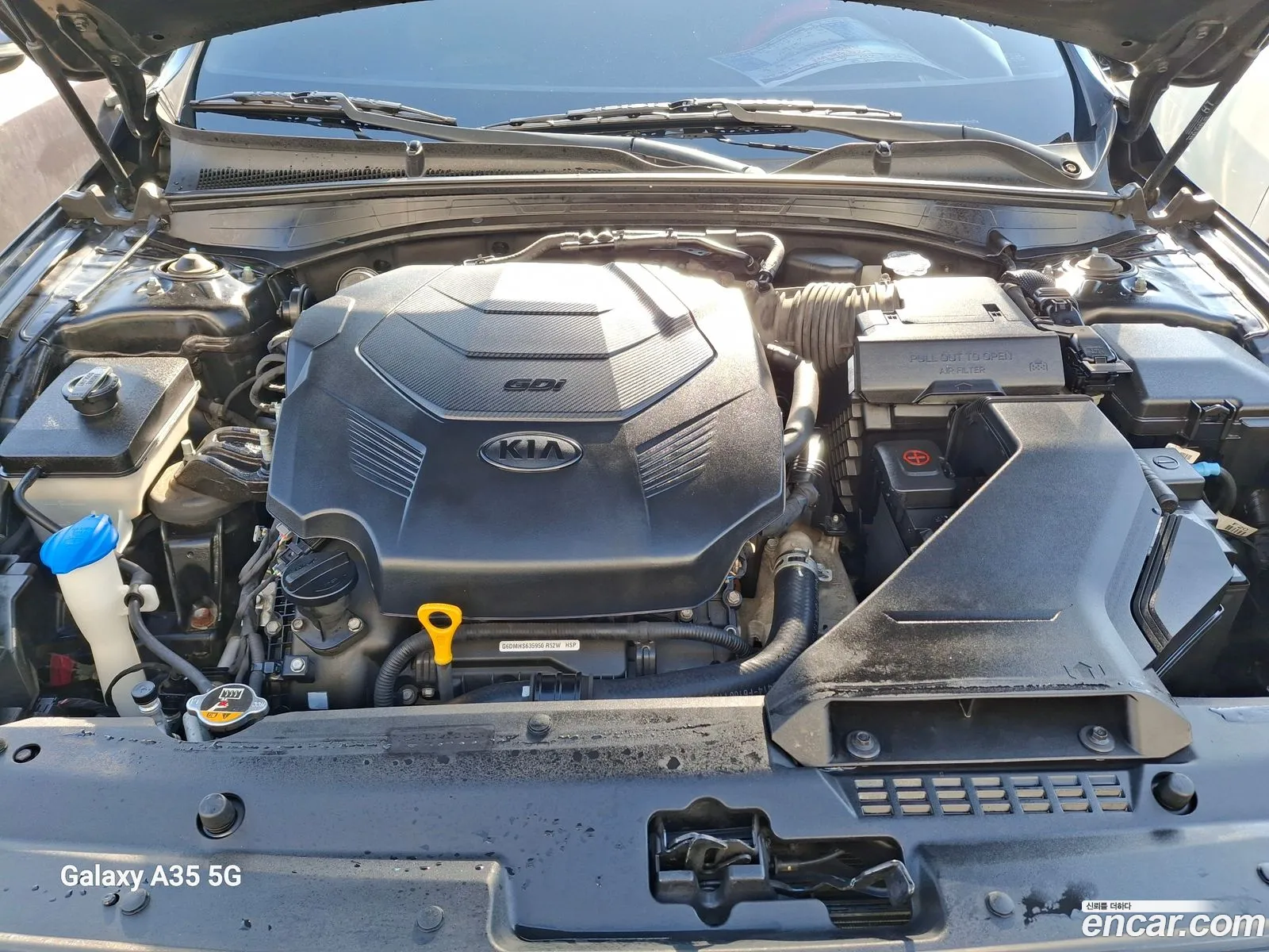 Korex Auto Trade - фотография 13134769