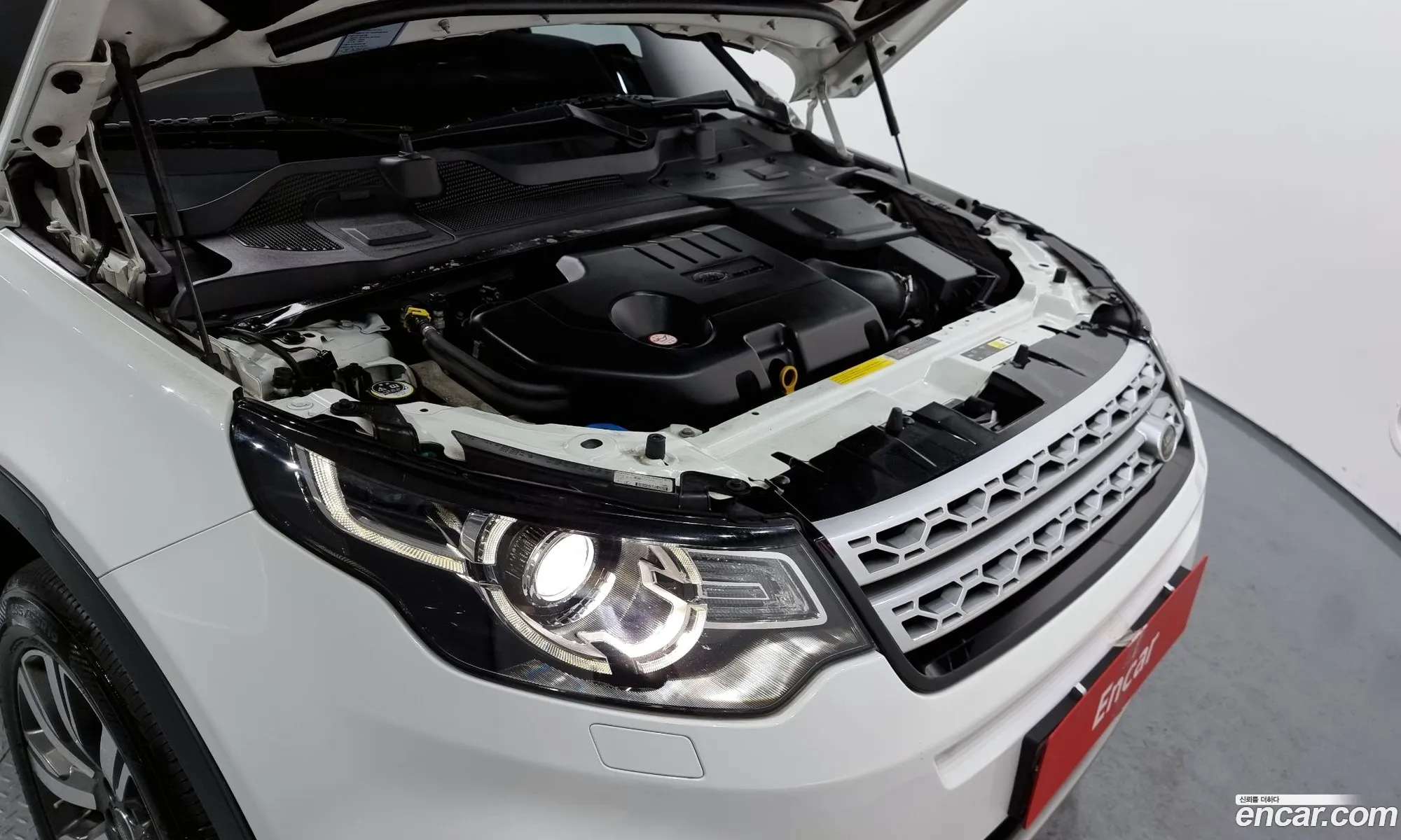 Korex Auto Trade - фотография 3729045