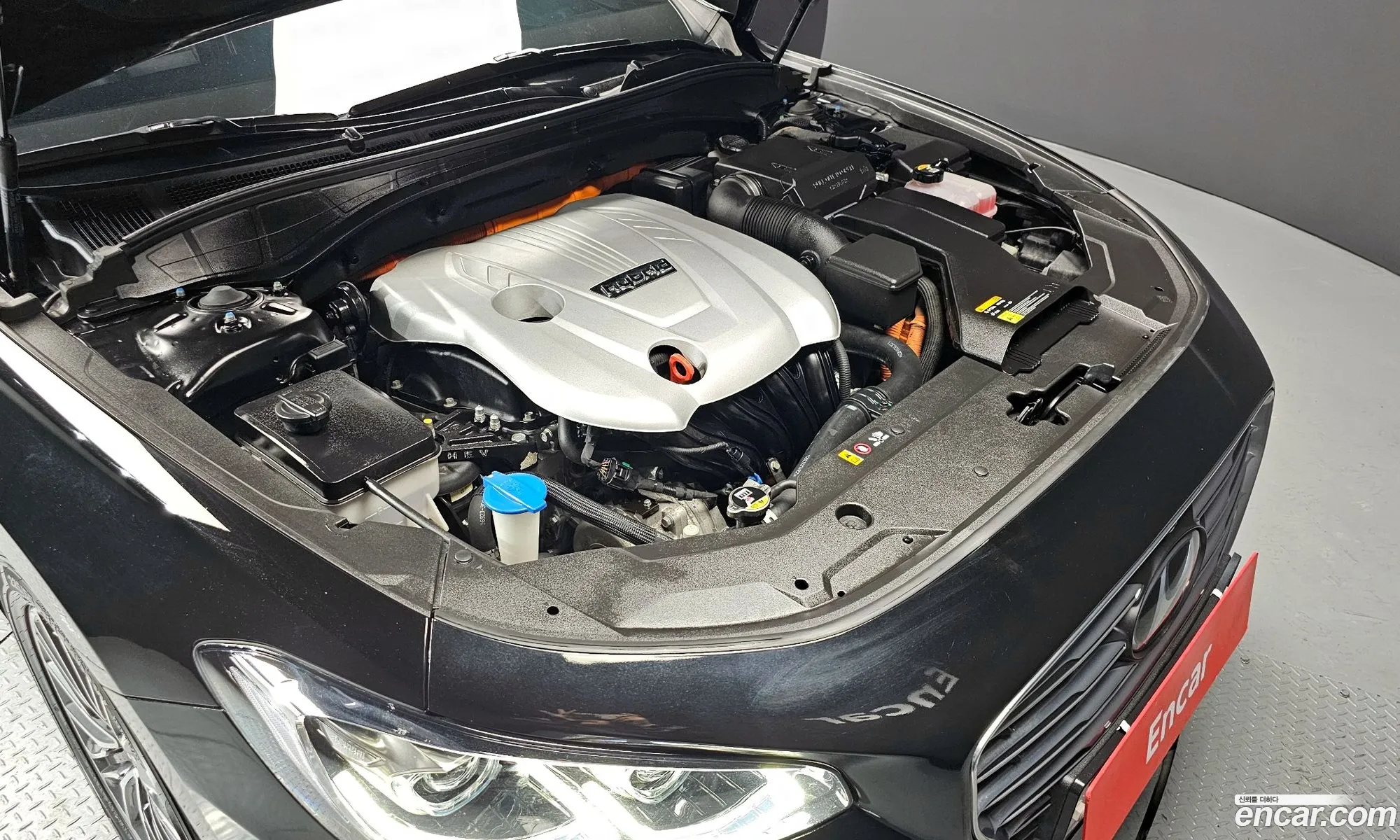 Korex Auto Trade - фотография 11640984