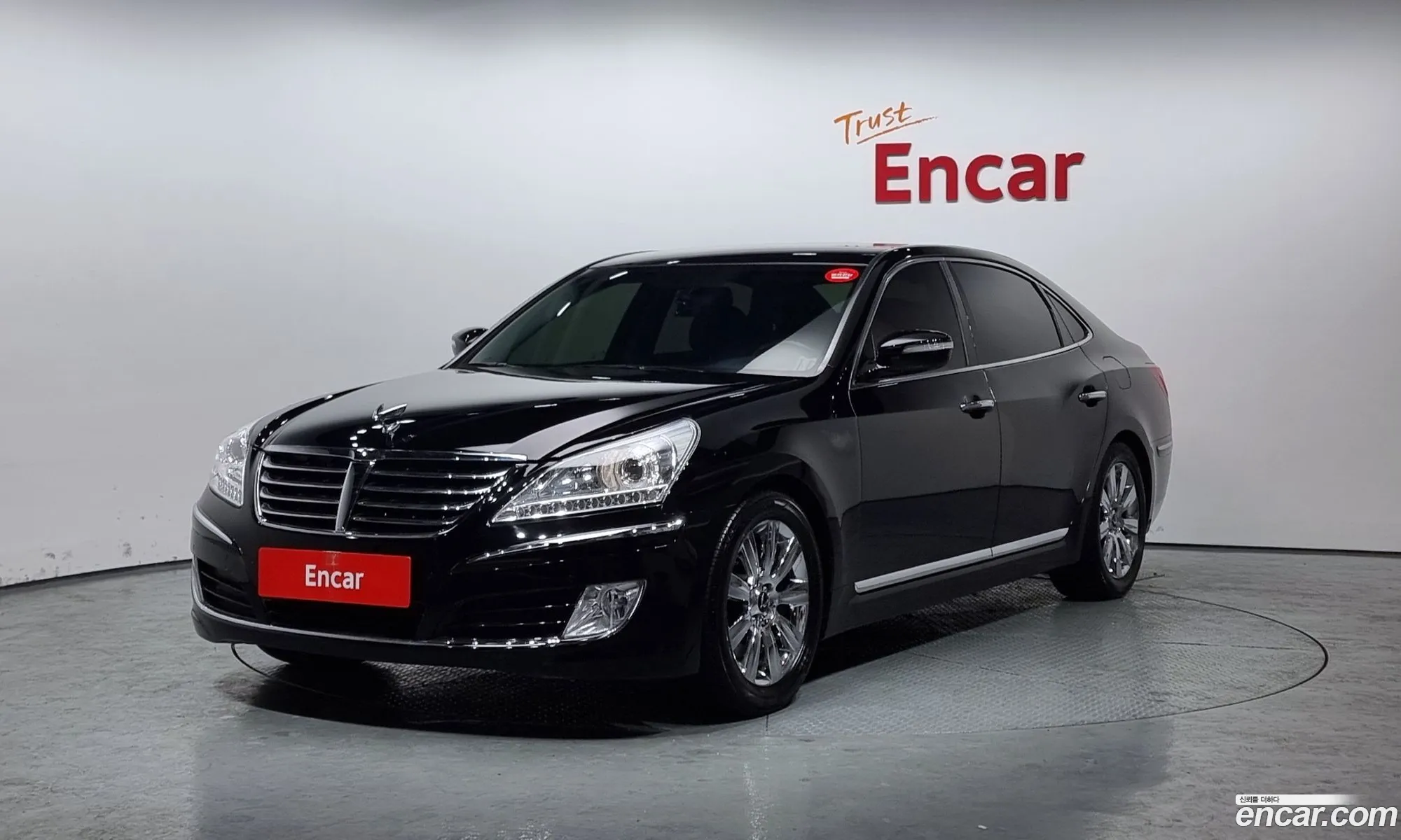 Equus New Vs380 Luxury - фотография 11857310
