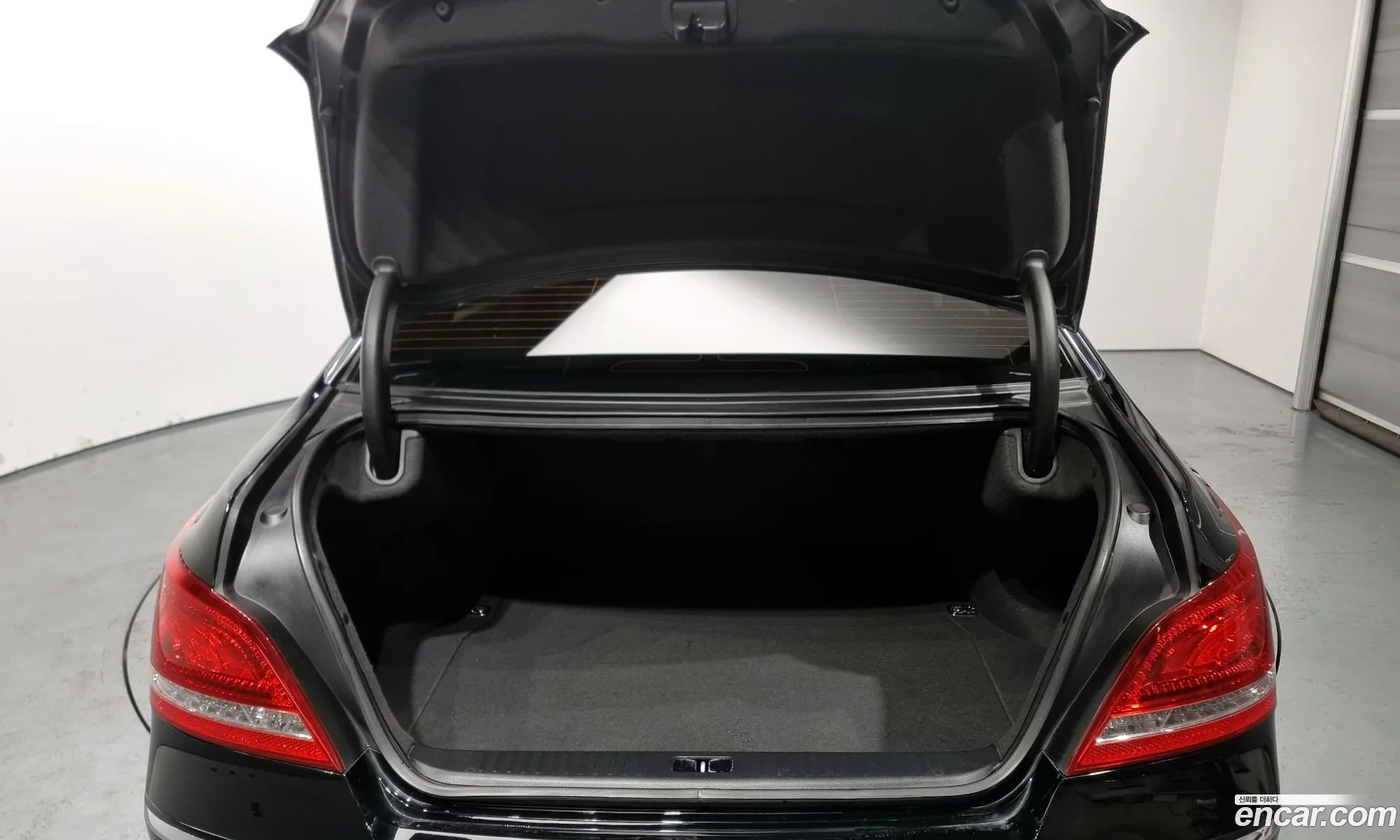 Equus New Vs380 Luxury - фотография 11857311