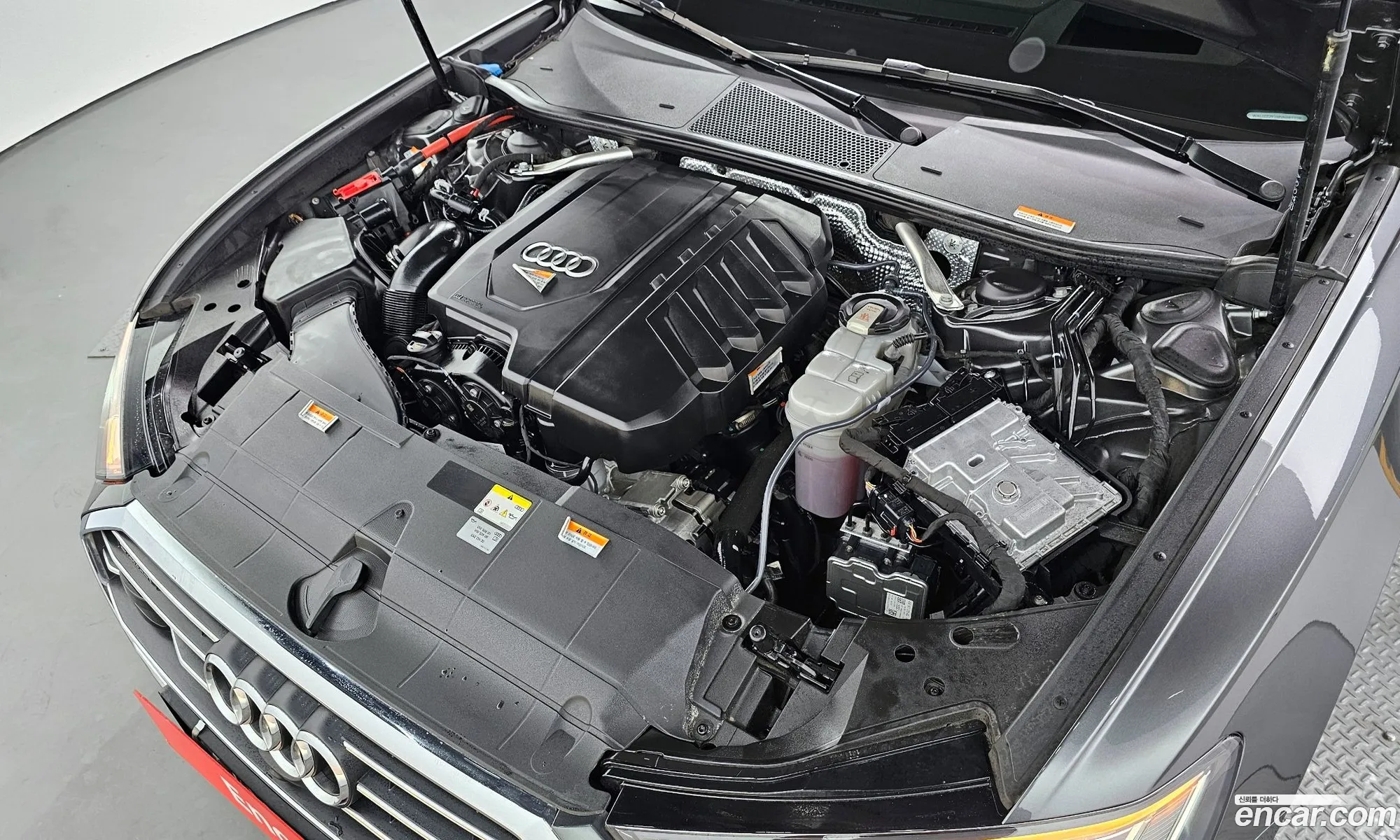 Korex Auto Trade - фотография 6886306
