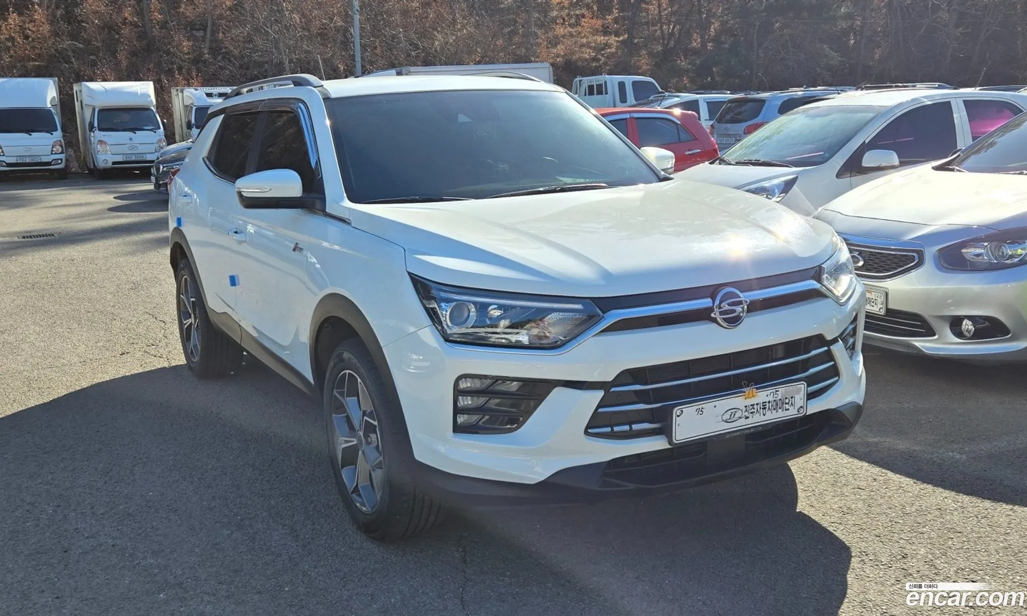 Beauty Pool Korando Gasoline 15 2Wd C5 Prime - фотография 16793140