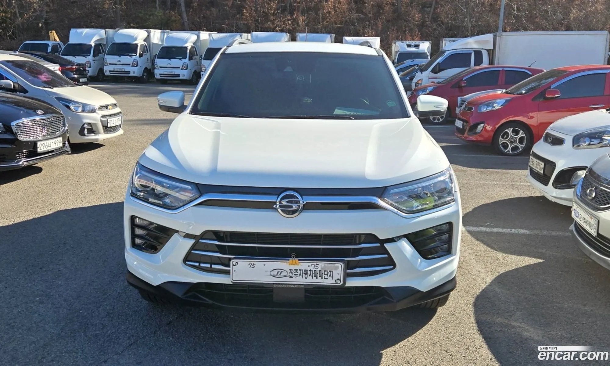Korex Auto Trade - фотография 16934019