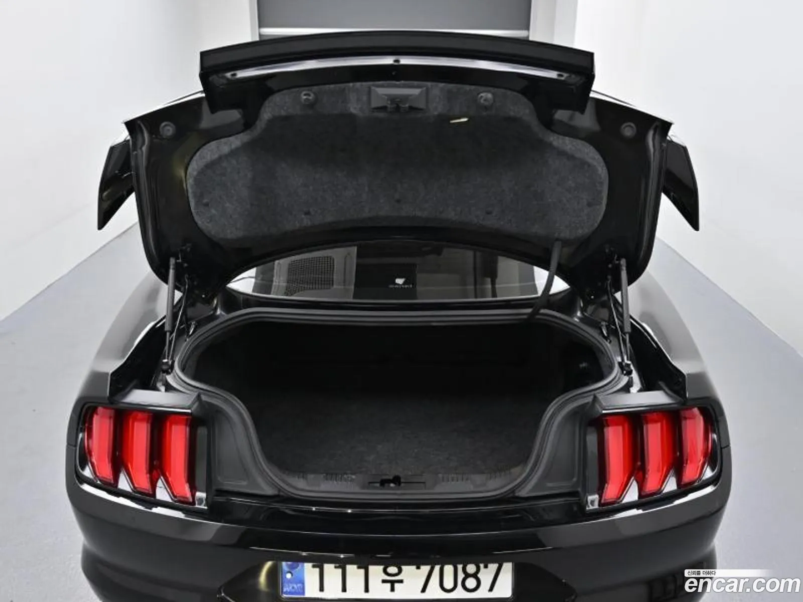 Ford Mustang Vi Coupe 2018 - фотография 1135582
