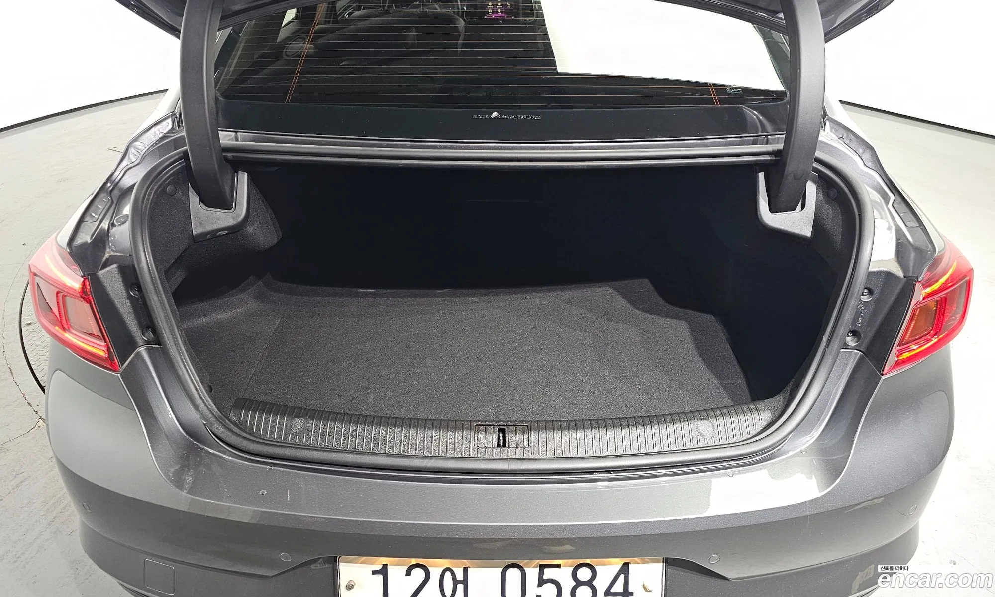 Renault Samsung Sm6 20 Lpe Le Disabled 2016 - фотография 13045785