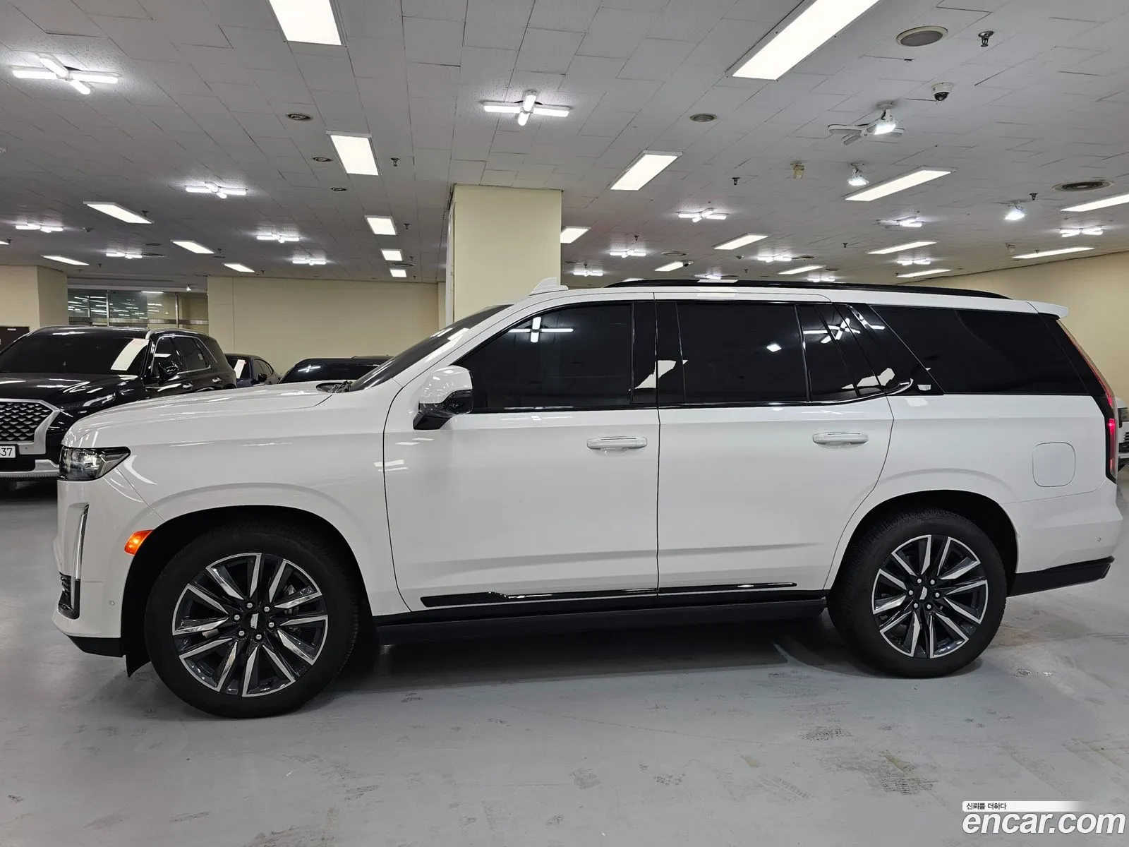 Korex Auto Trade - фотография 3932849