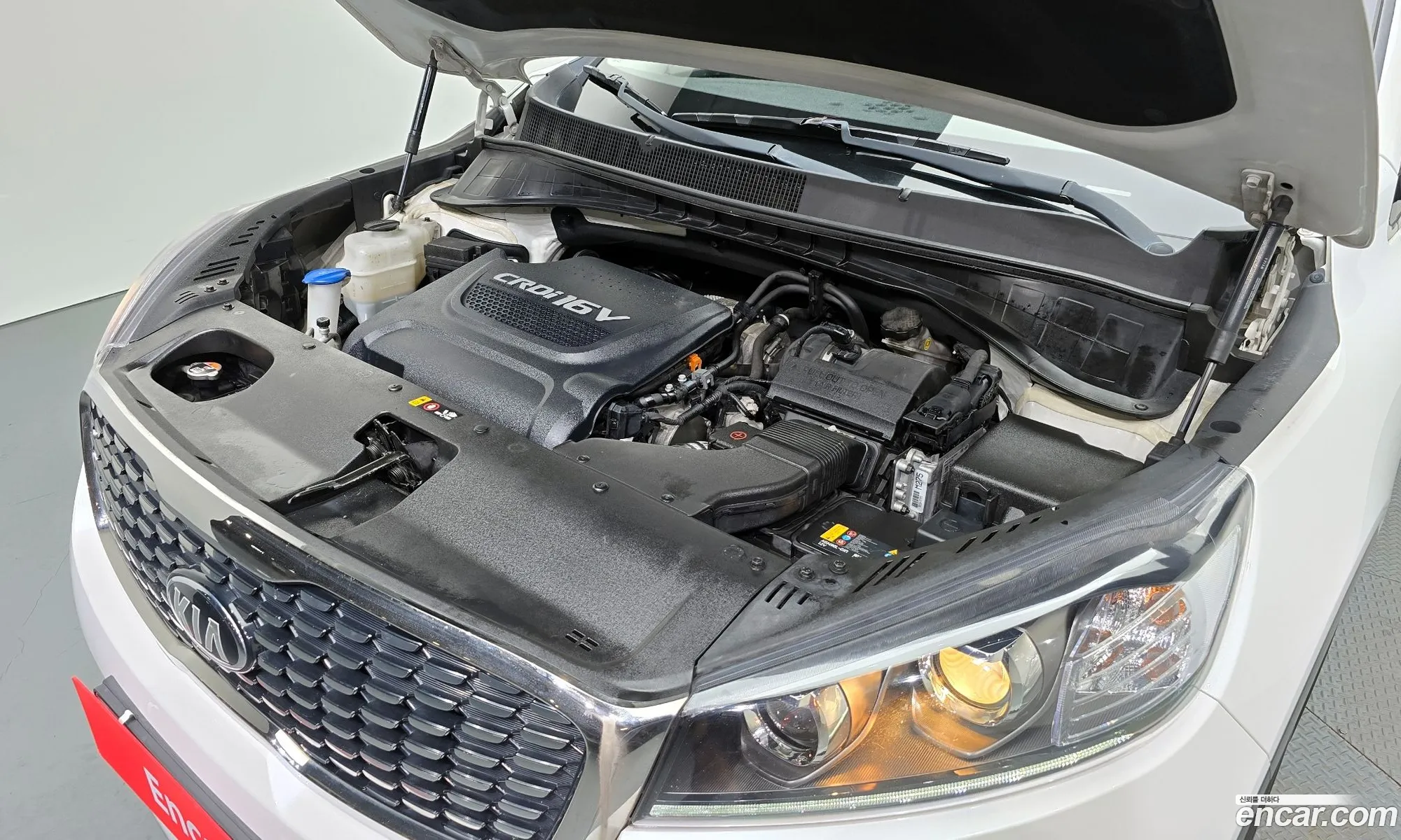 Korex Auto Trade - фотография 1621240