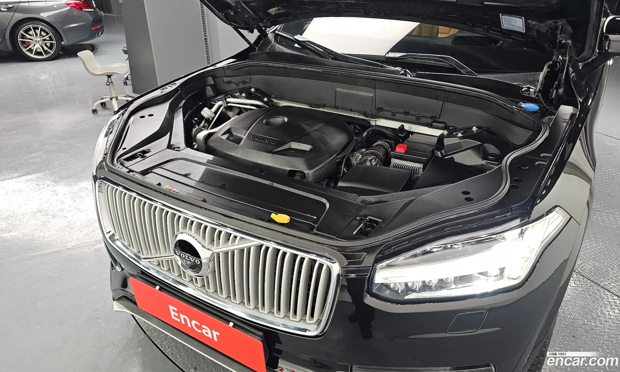 Korex Auto Trade - фотография 4824274