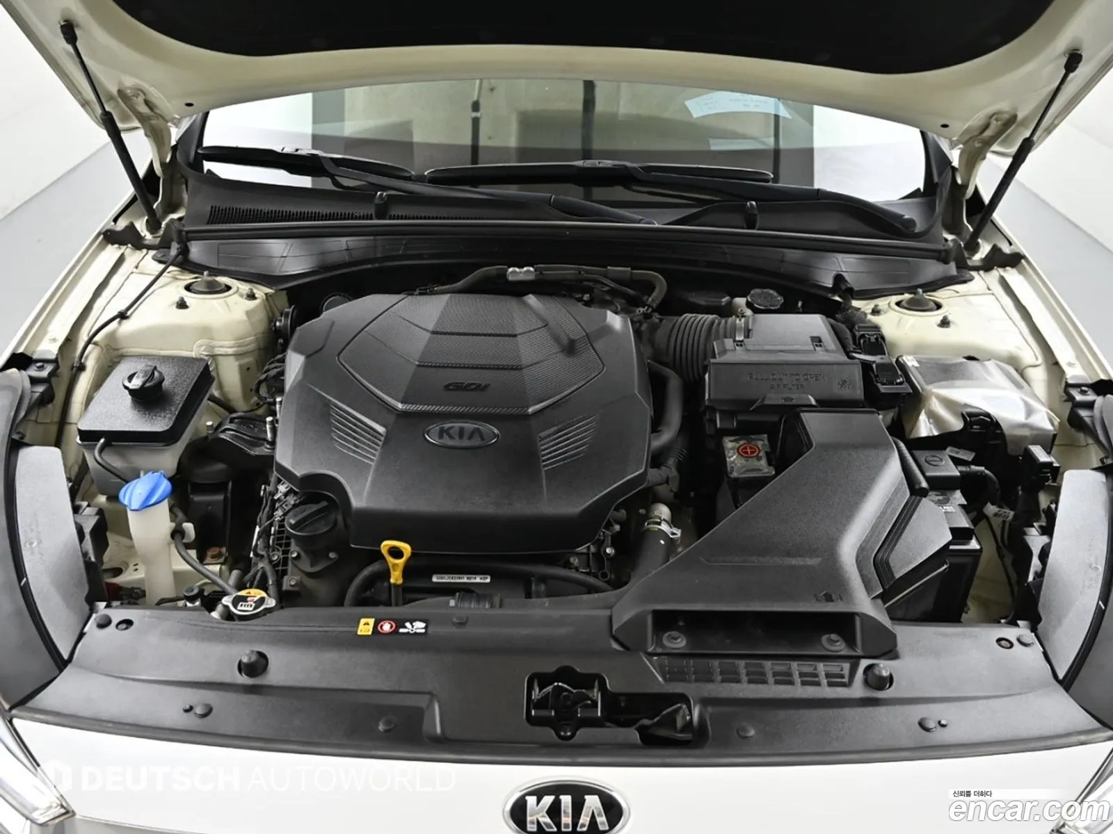 Korex Auto Trade - фотография 2242256