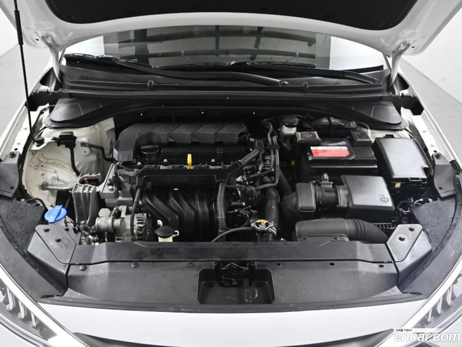 Korex Auto Trade - фотография 12503007