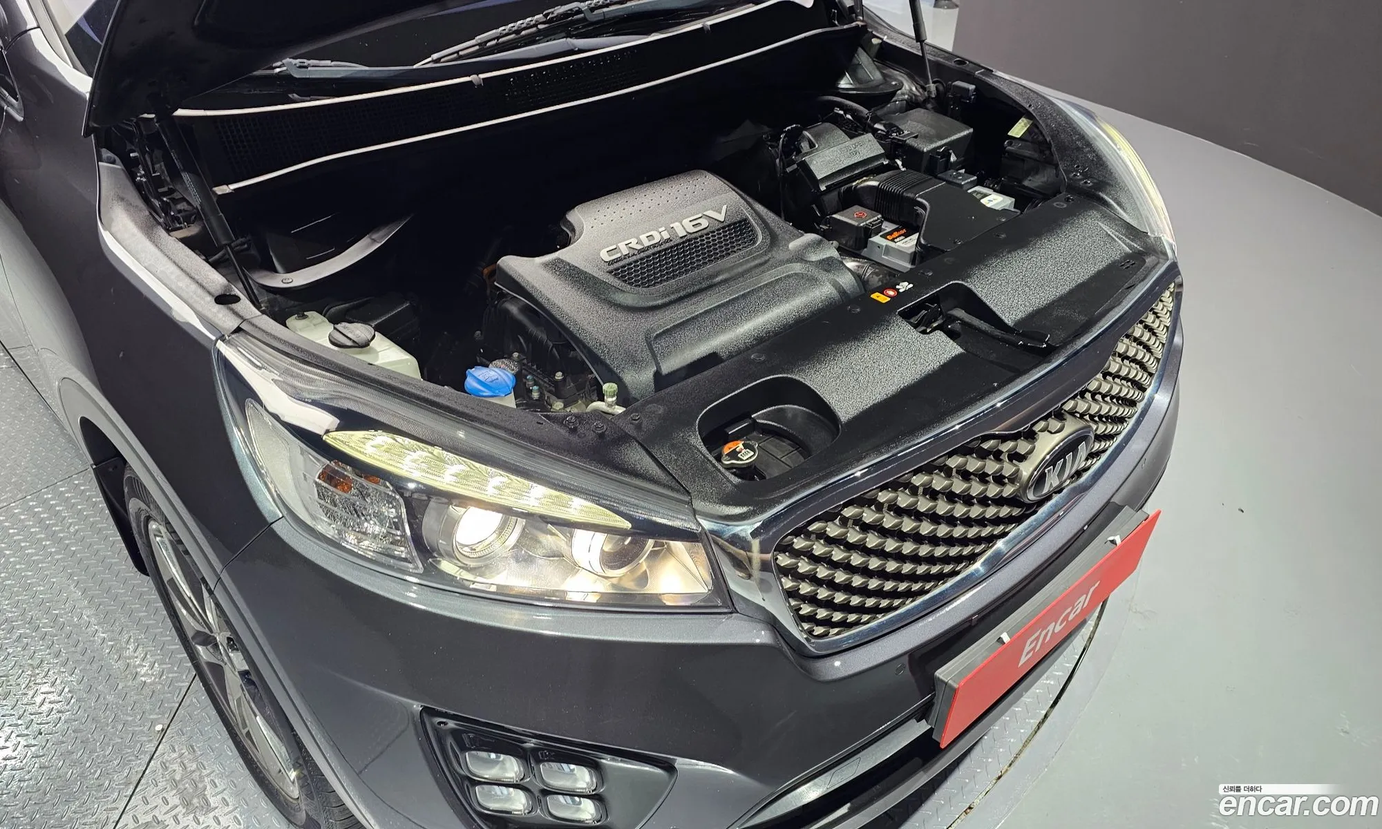 Korex Auto Trade - фотография 16204998