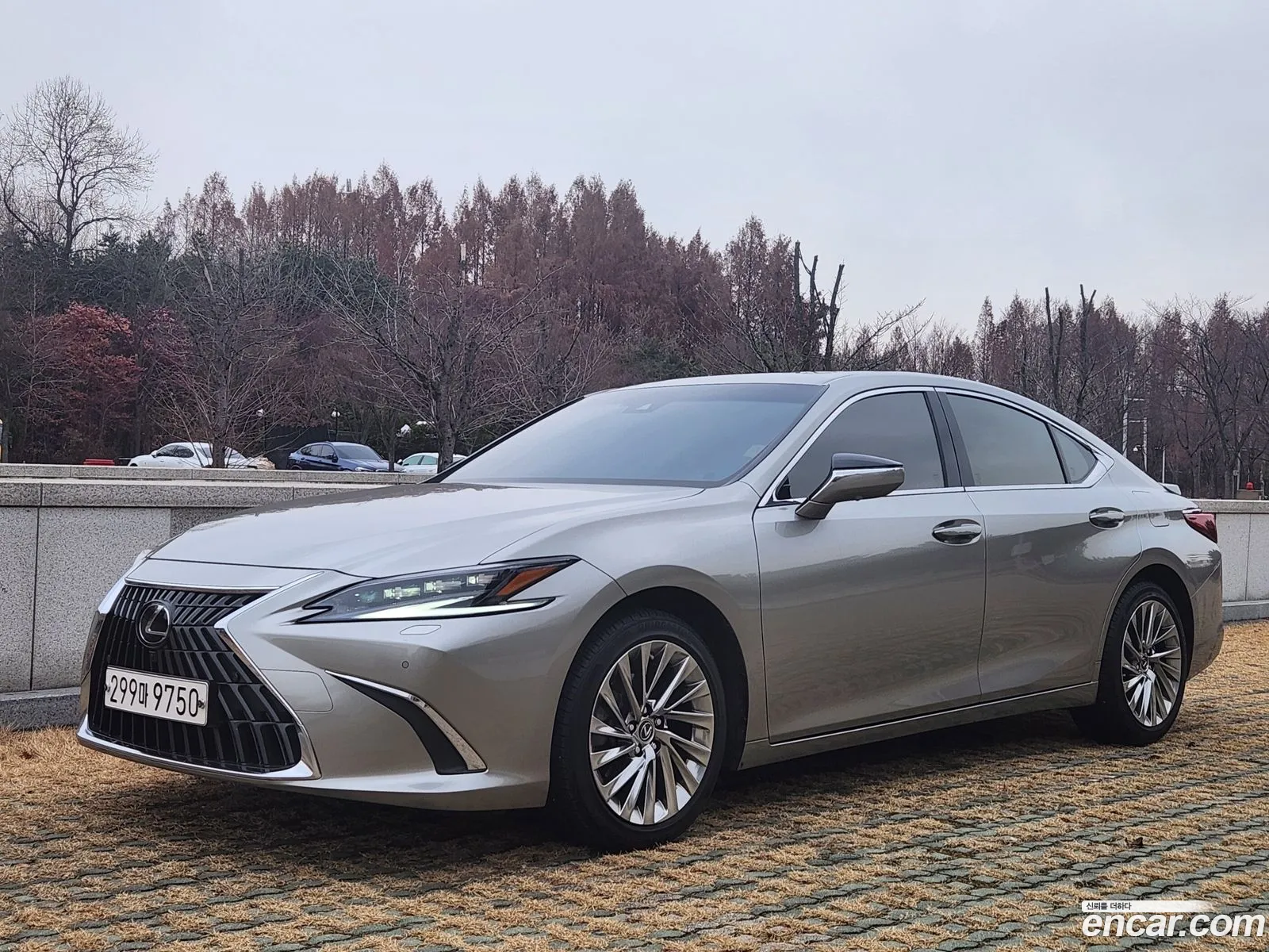 Lexus Es Executive 2023 - фотография 4572547