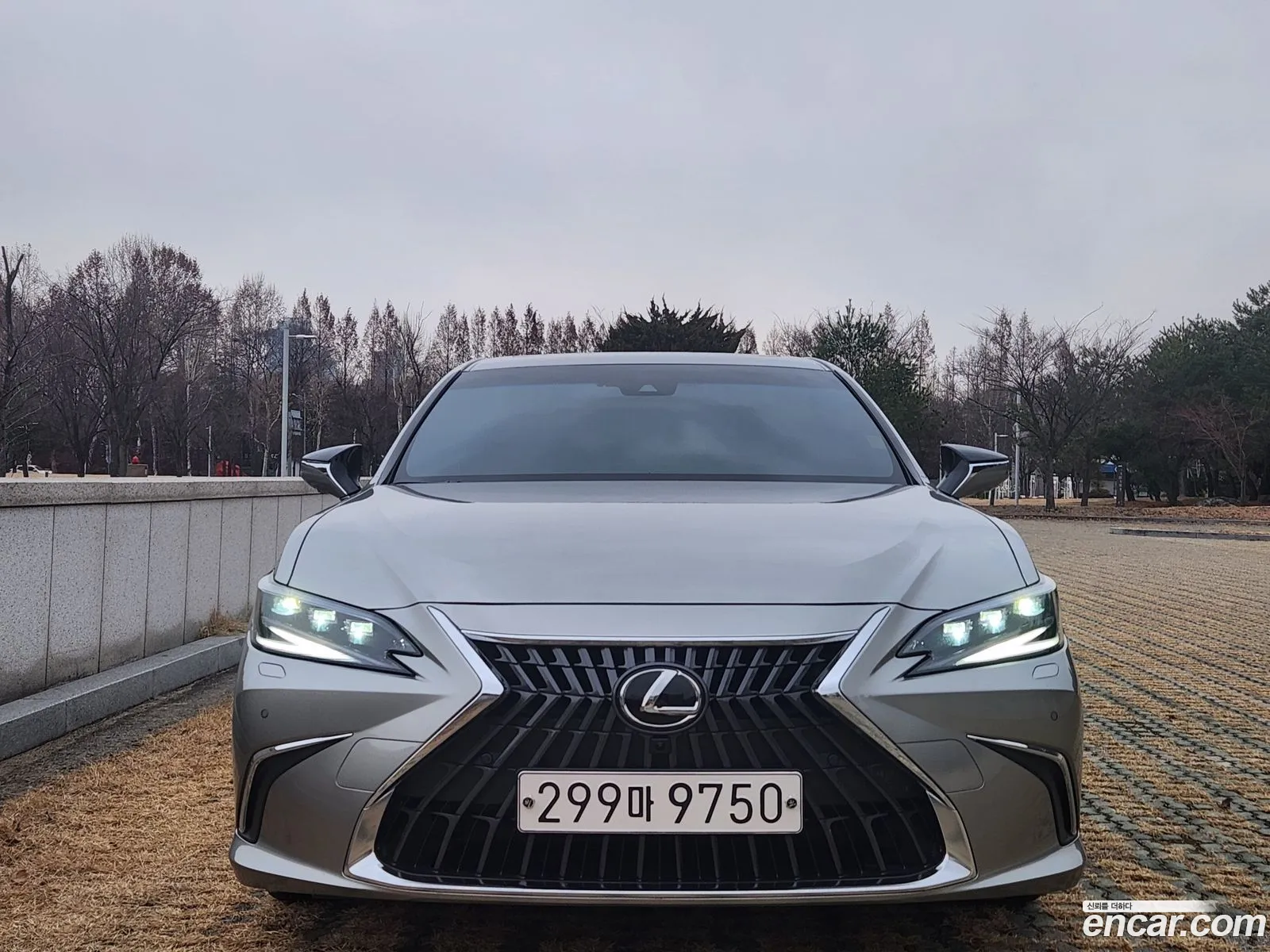 Korex Auto Trade - фотография 4582640