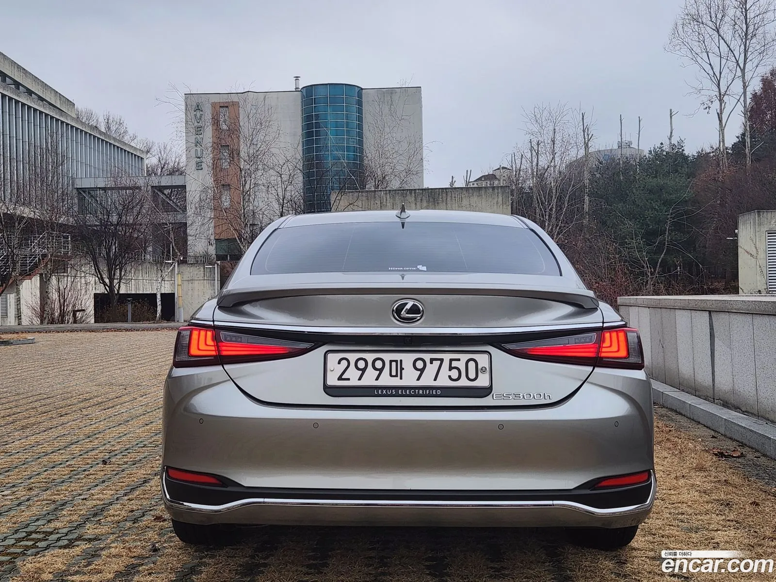 Korex Auto Trade - фотография 4582639