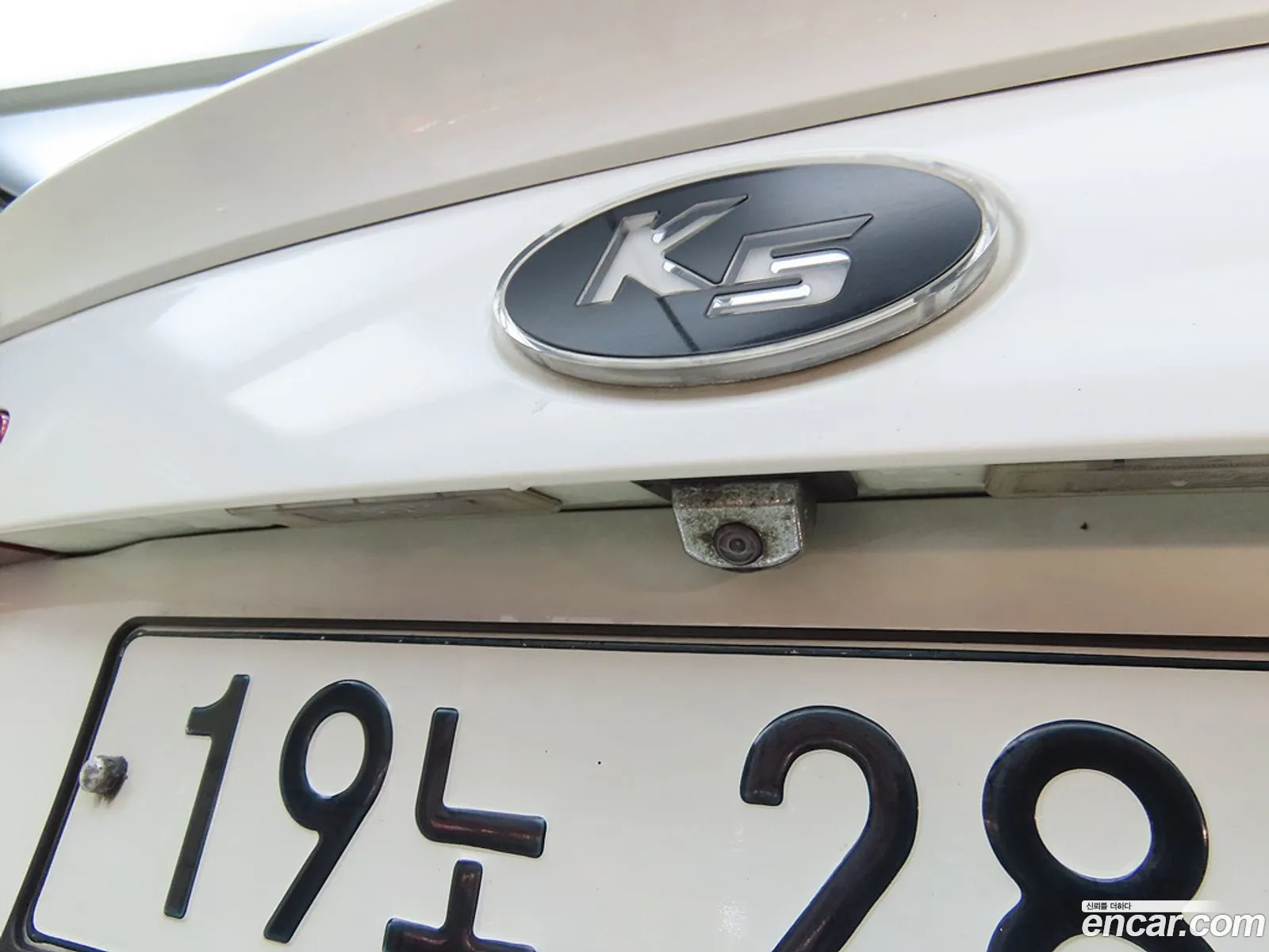 Korex Auto Trade - фотография 6772364
