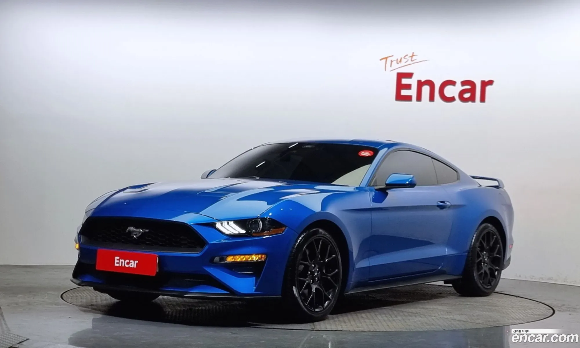 Mustang Coupe - фотография 1164304