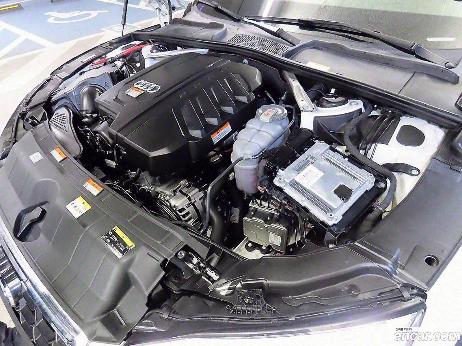 A5 F5 40 Tfsi Quattro Premium Sport Bag - фотография 3991946