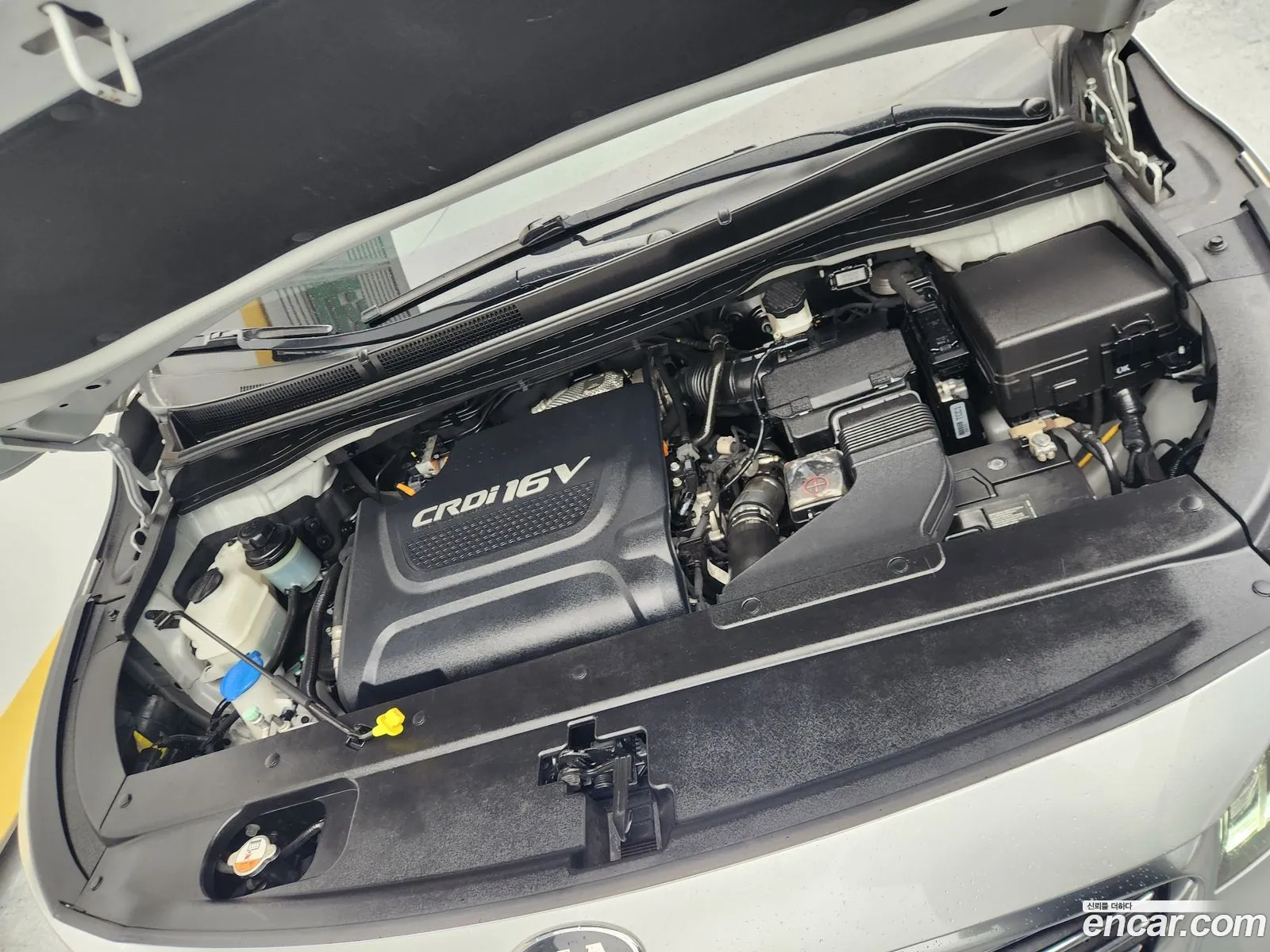 Korex Auto Trade - фотография 11207749