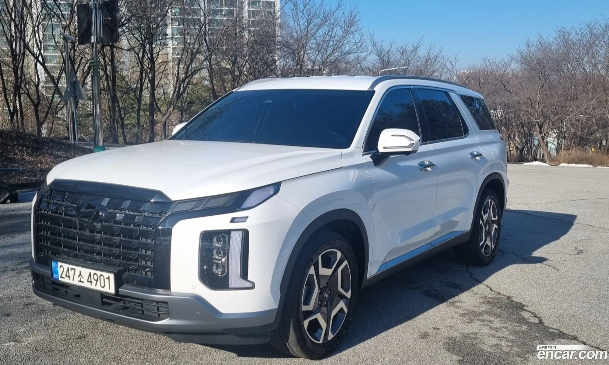 The New Palisade Diesel 22 2Wd Prestige - фотография 13962477