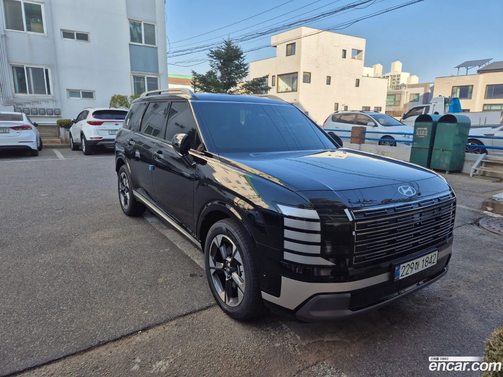 Palisade Lx3 Gasoline 25T 2Wd 7 -Seater Prestige - фотография 13970984