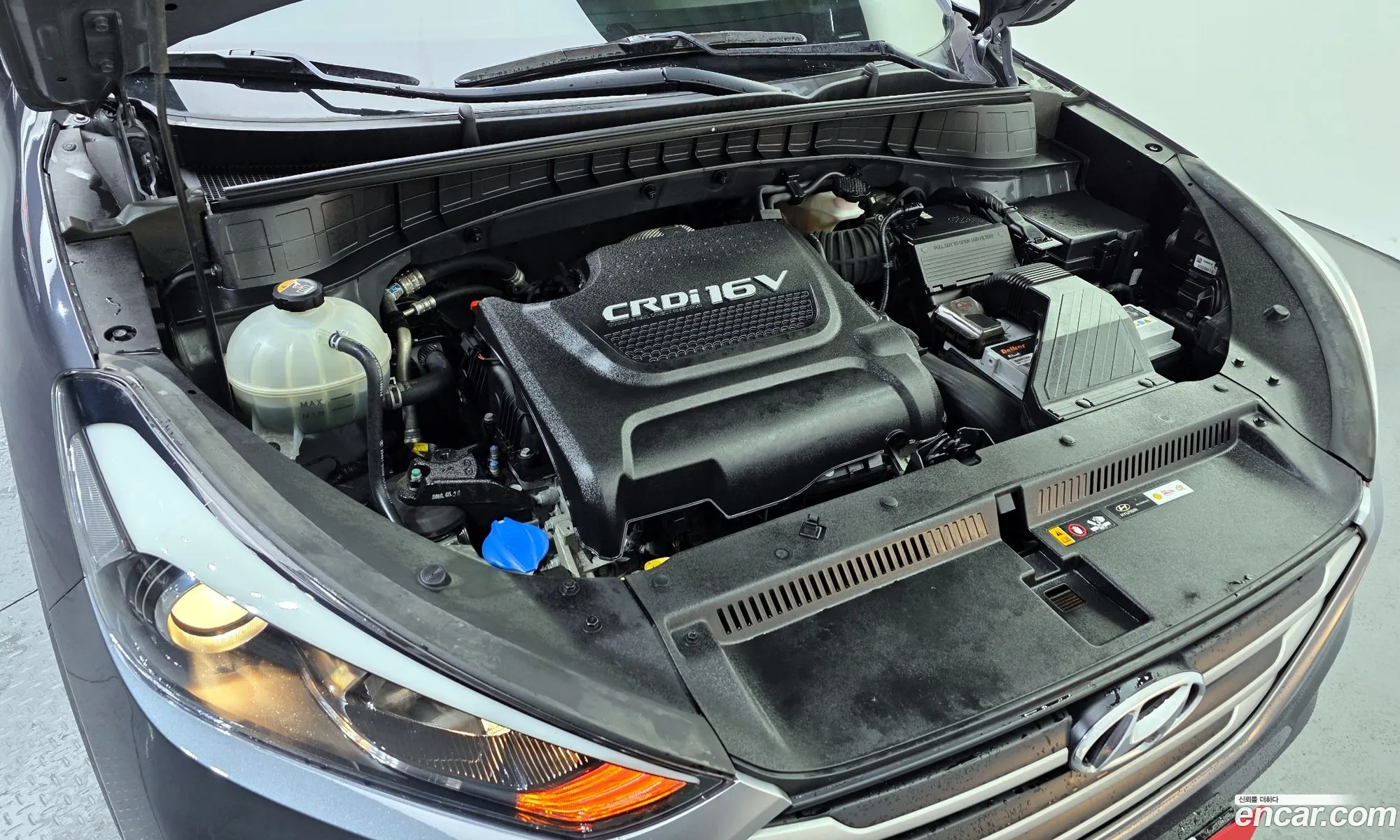 Korex Auto Trade - фотография 11877285