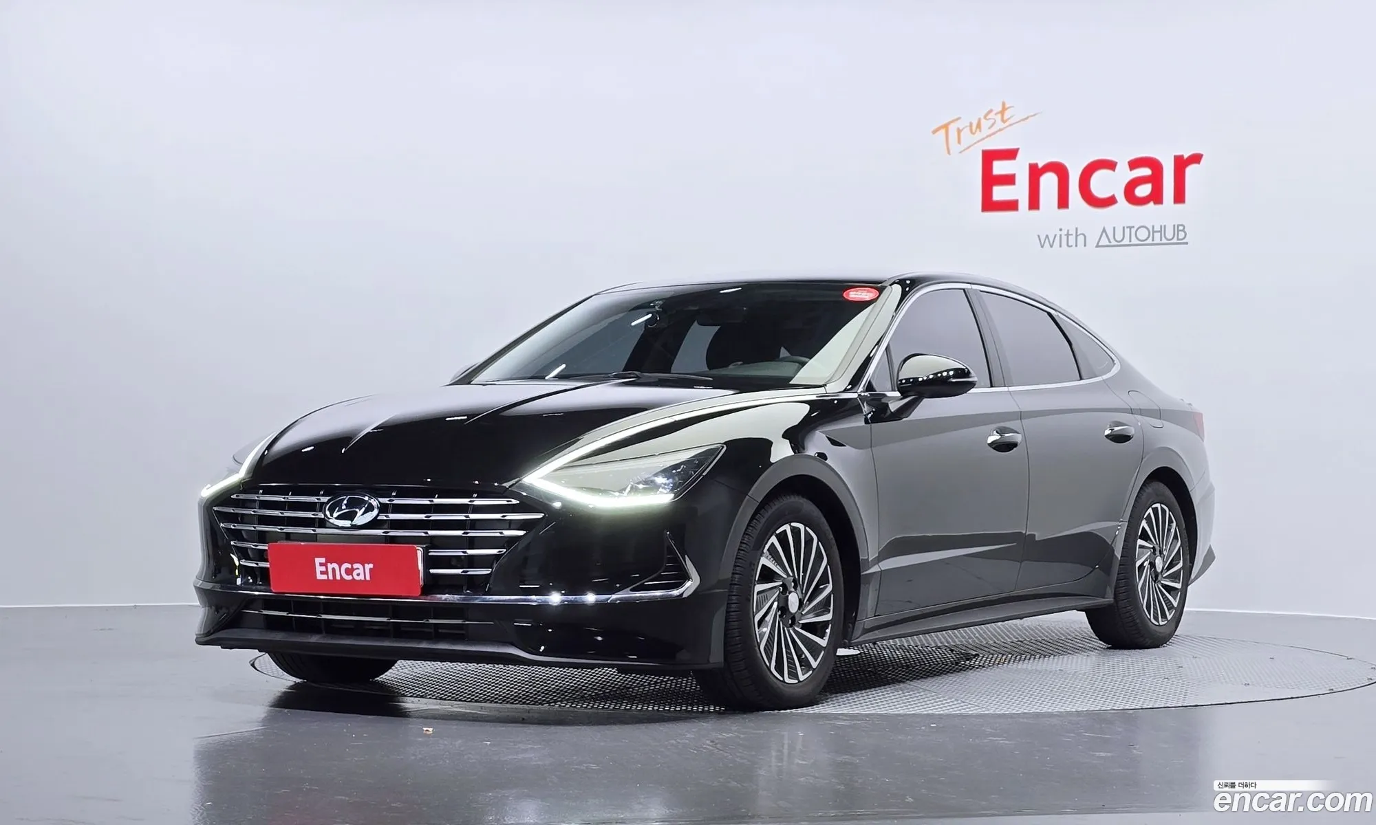 Sonata Hybrid Dn8 Premium Family - фотография 18125522