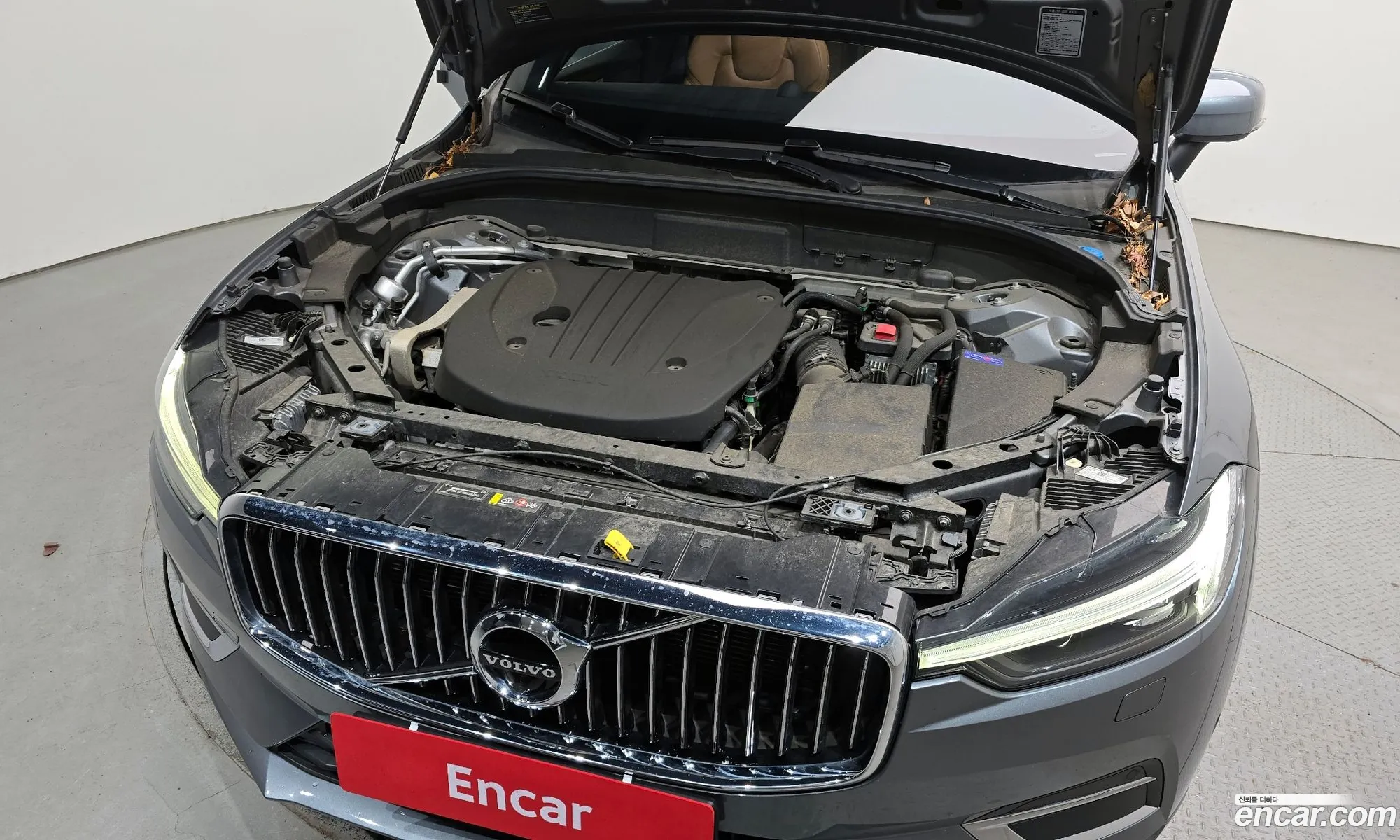 Korex Auto Trade - фотография 4754456