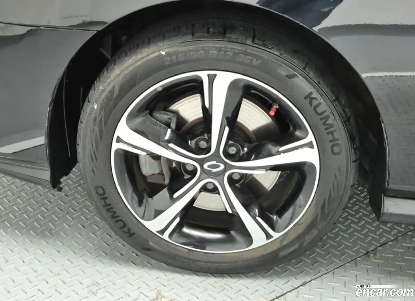 New Sm5 Platinum 16 Tce SS Collection - фотография 12568458