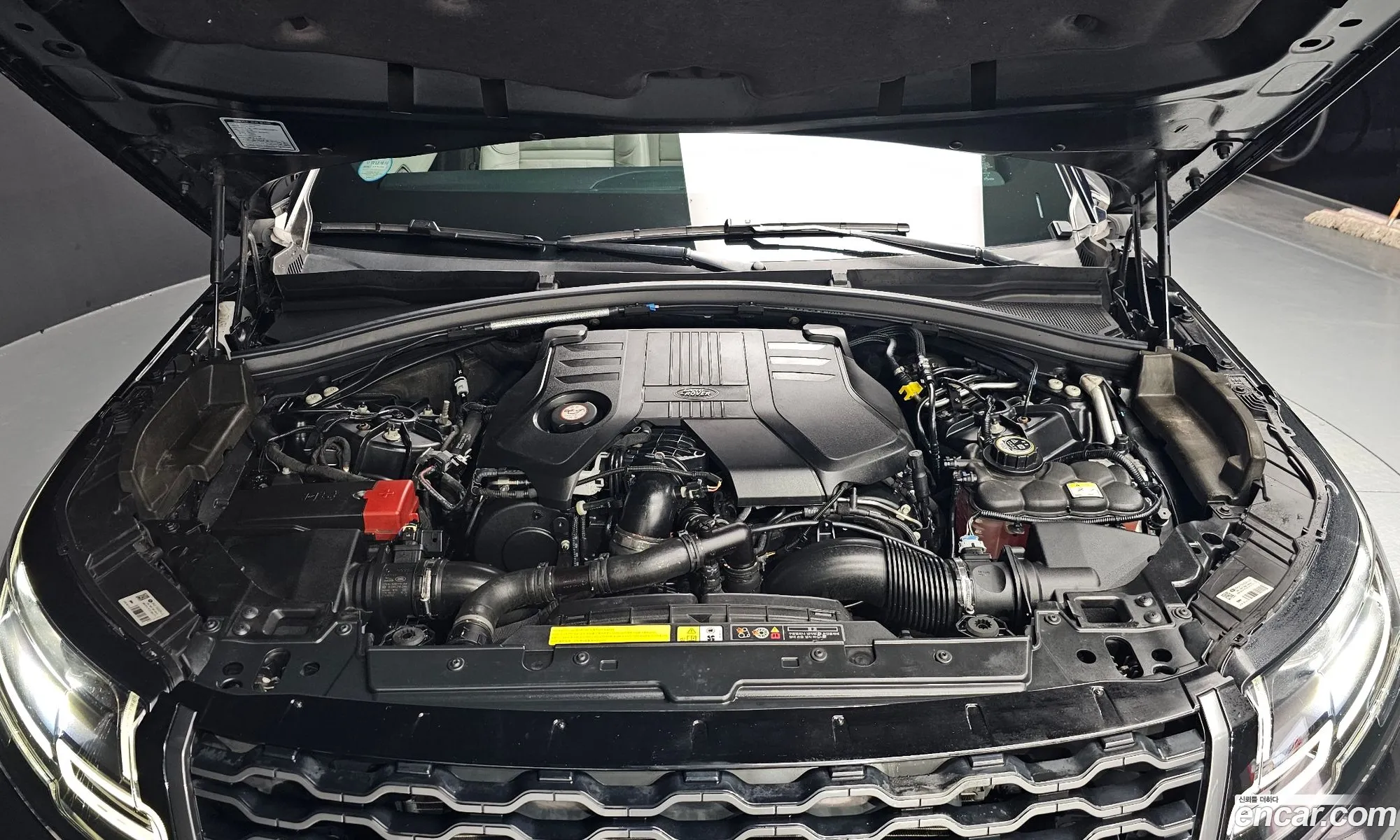 Korex Auto Trade - фотография 3747319