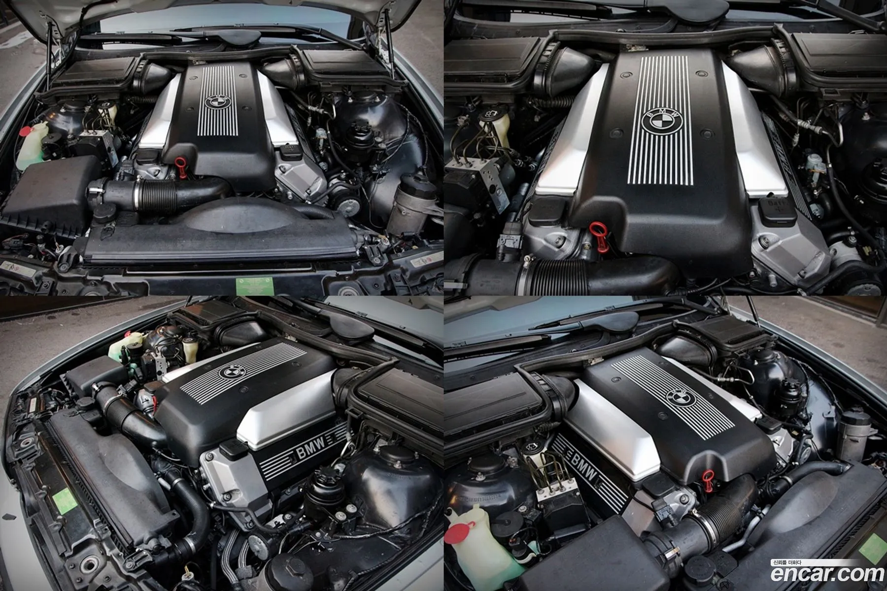 Korex Auto Trade - фотография 4735689